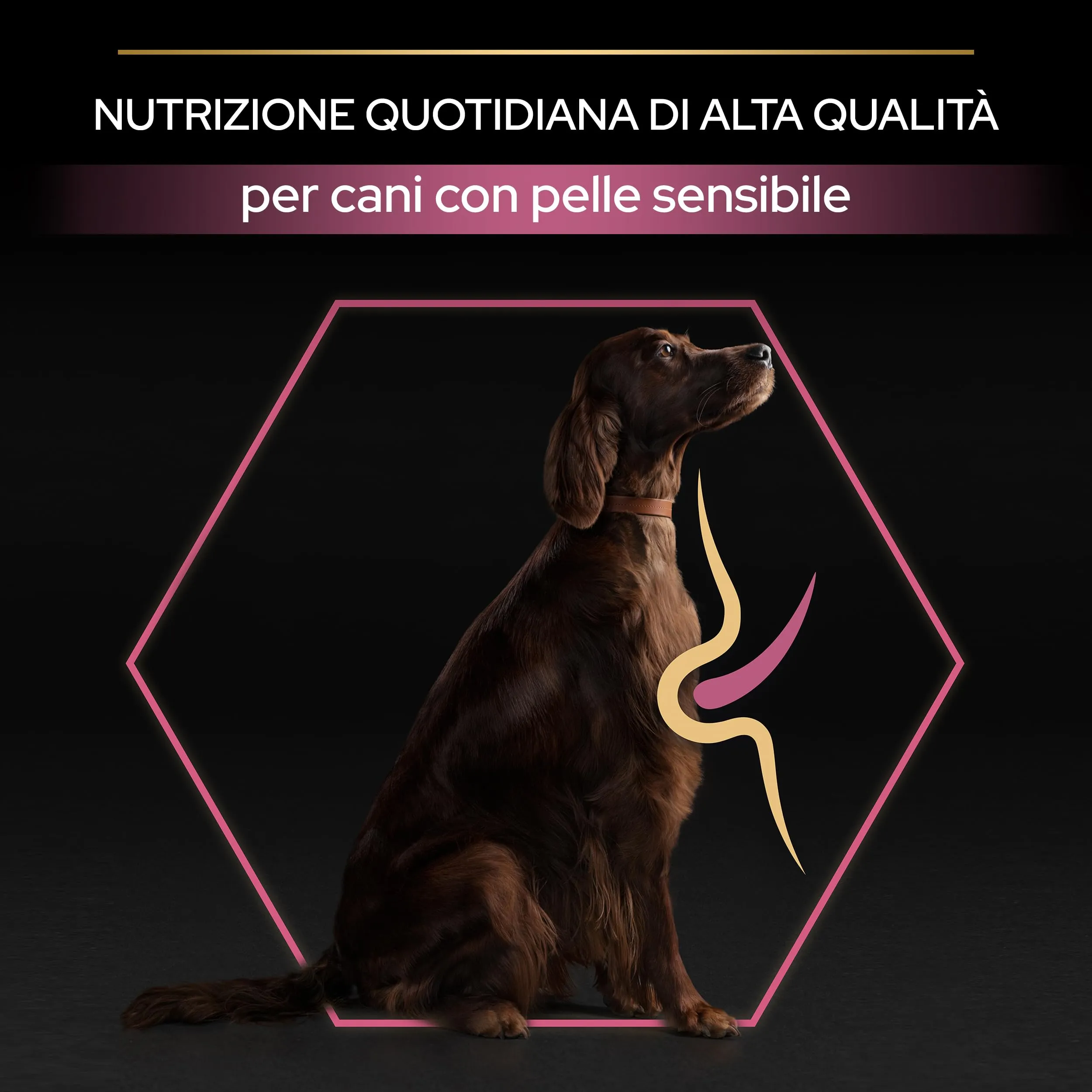 PURINA PRO PLAN Sensitive Skin Large Athletic Crocchette per Cani Adulti con Pesce Sacco da 14kg - immagine 2