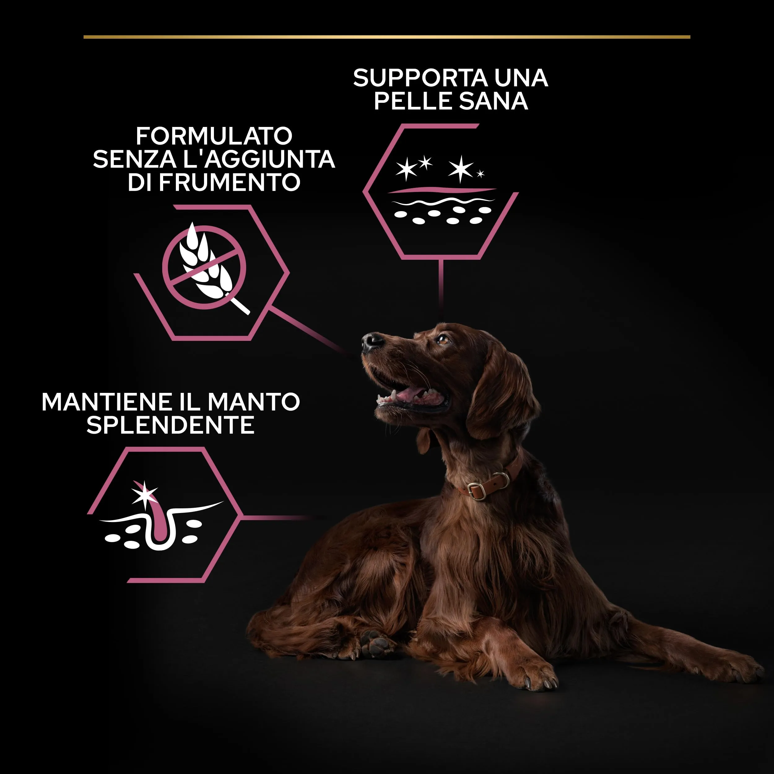 PURINA PRO PLAN Sensitive Skin Large Athletic Crocchette per Cani Adulti con Pesce Sacco da 14kg - immagine 3