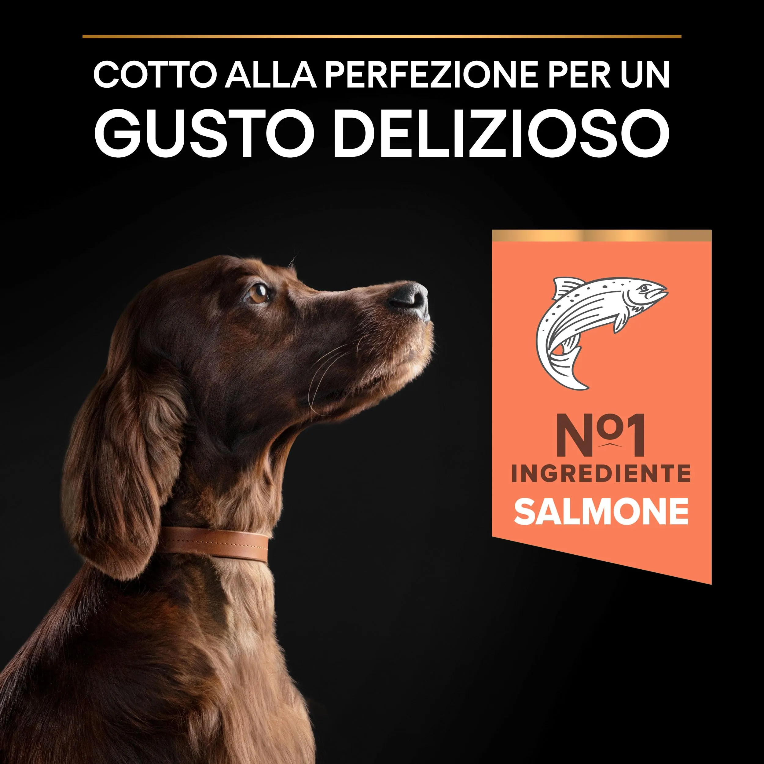 PURINA PRO PLAN Sensitive Skin Large Athletic Crocchette per Cani Adulti con Pesce Sacco da 14kg - immagine 4