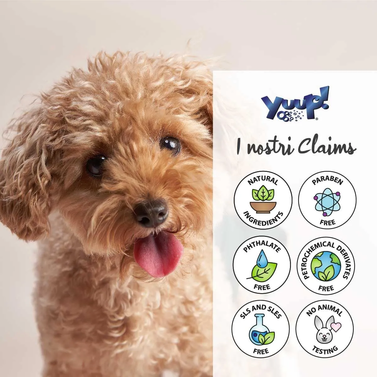 YUUP! - Acqua profumata condizionante per cane e gatto senza alcool PER LUI, 150 ml, profumo a lunga durata con note di Sandalo, Muschio e Vetiver - immagine 5