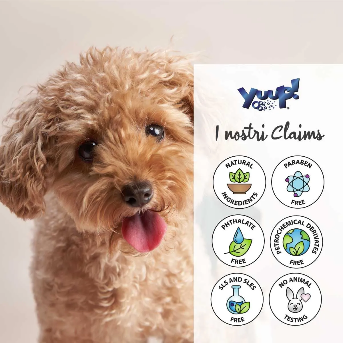 YUUP! - Acqua profumata condizionante per cane e gatto senza alcool PER LEI, 150 ml, profumo a lunga durata con note di Vaniglia, Gelsomino e Muschio Bianco - immagine 5