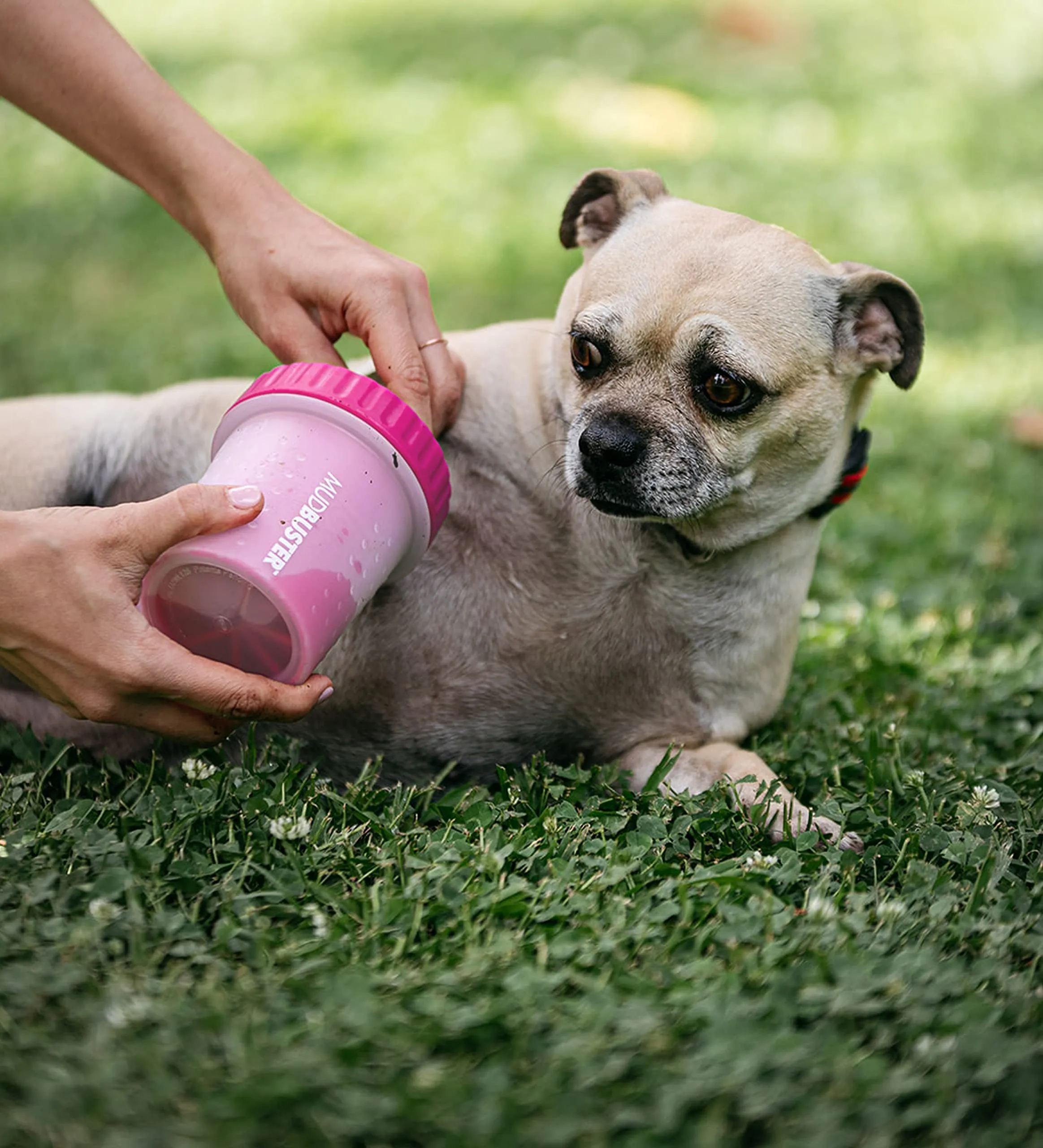 Dexas MudBuster Pulisci Zampe per Cani Portatile - immagine 5
