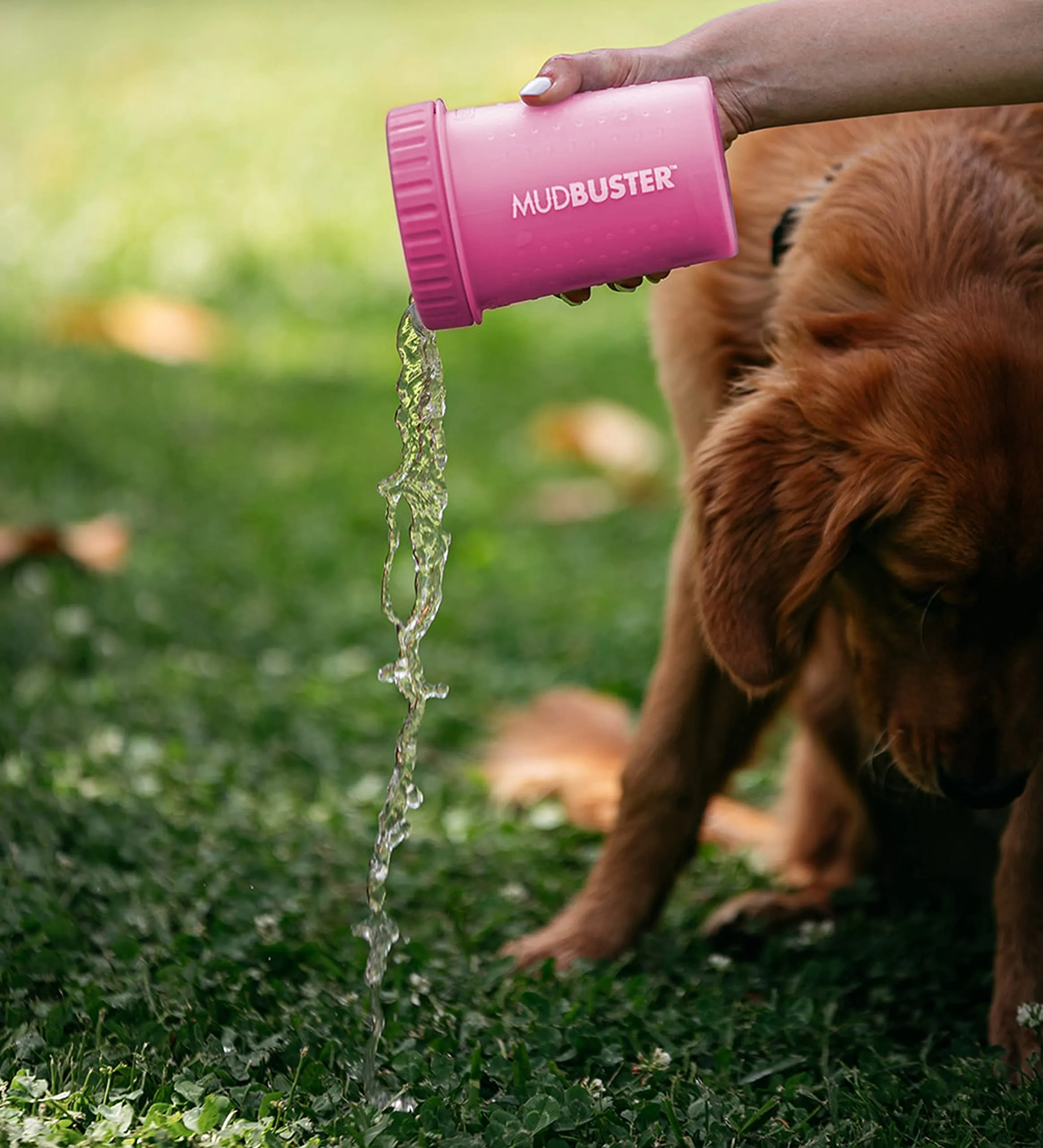 Dexas MudBuster Pulisci Zampe per Cani Portatile - immagine 6