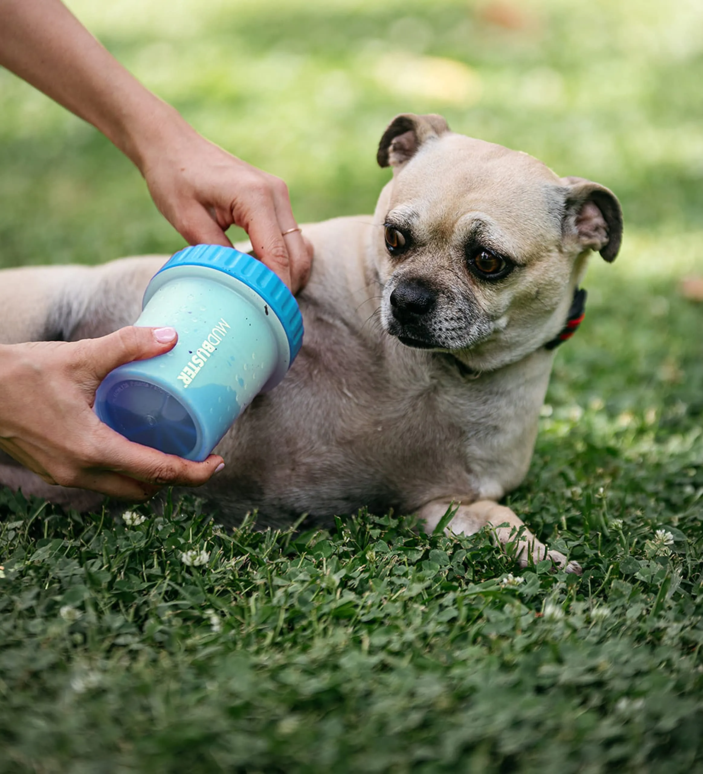 Dexas MudBuster Pulisci Zampe per Cani Portatile - immagine 5