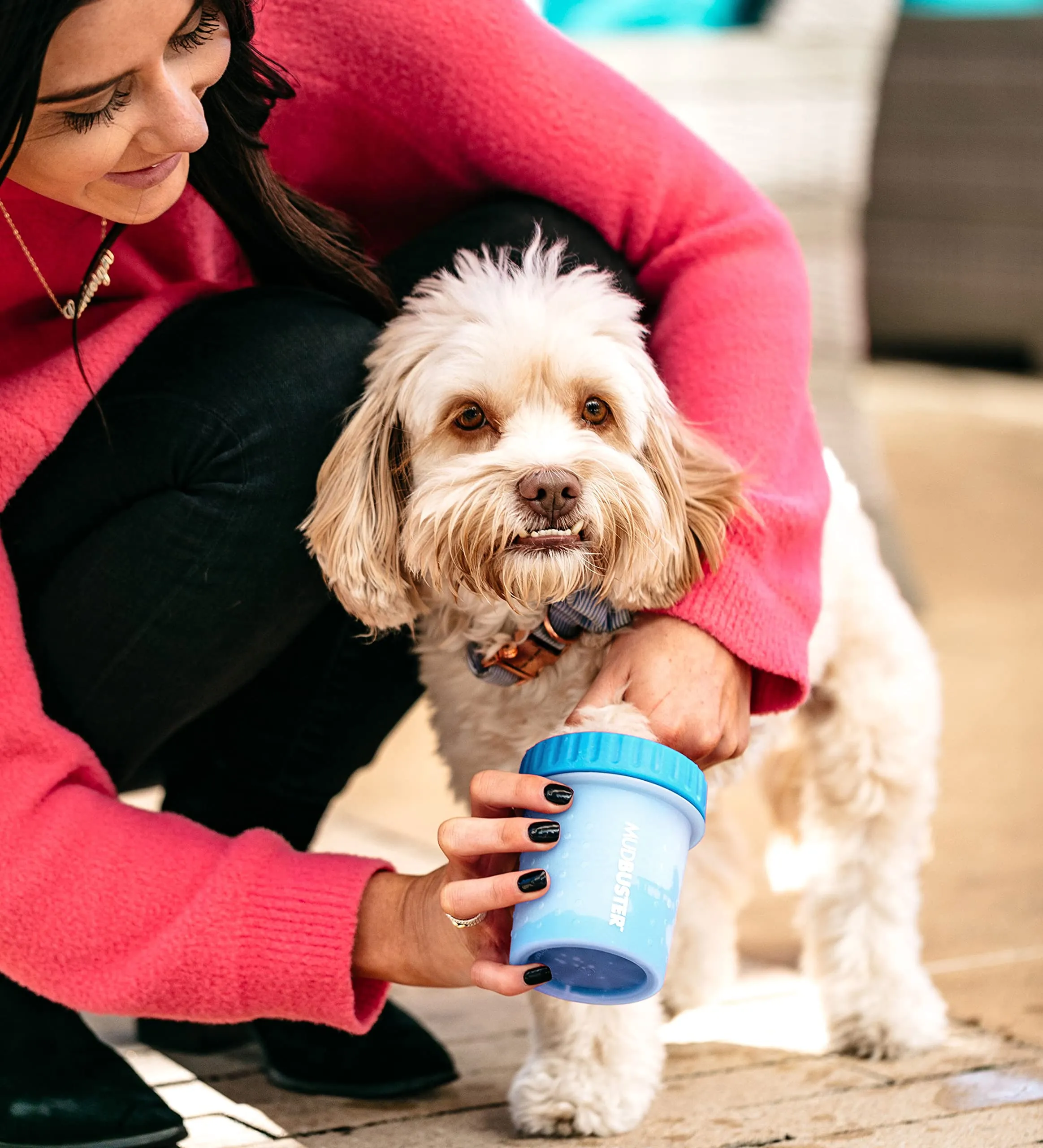 Dexas MudBuster Pulisci Zampe per Cani Portatile - immagine 6