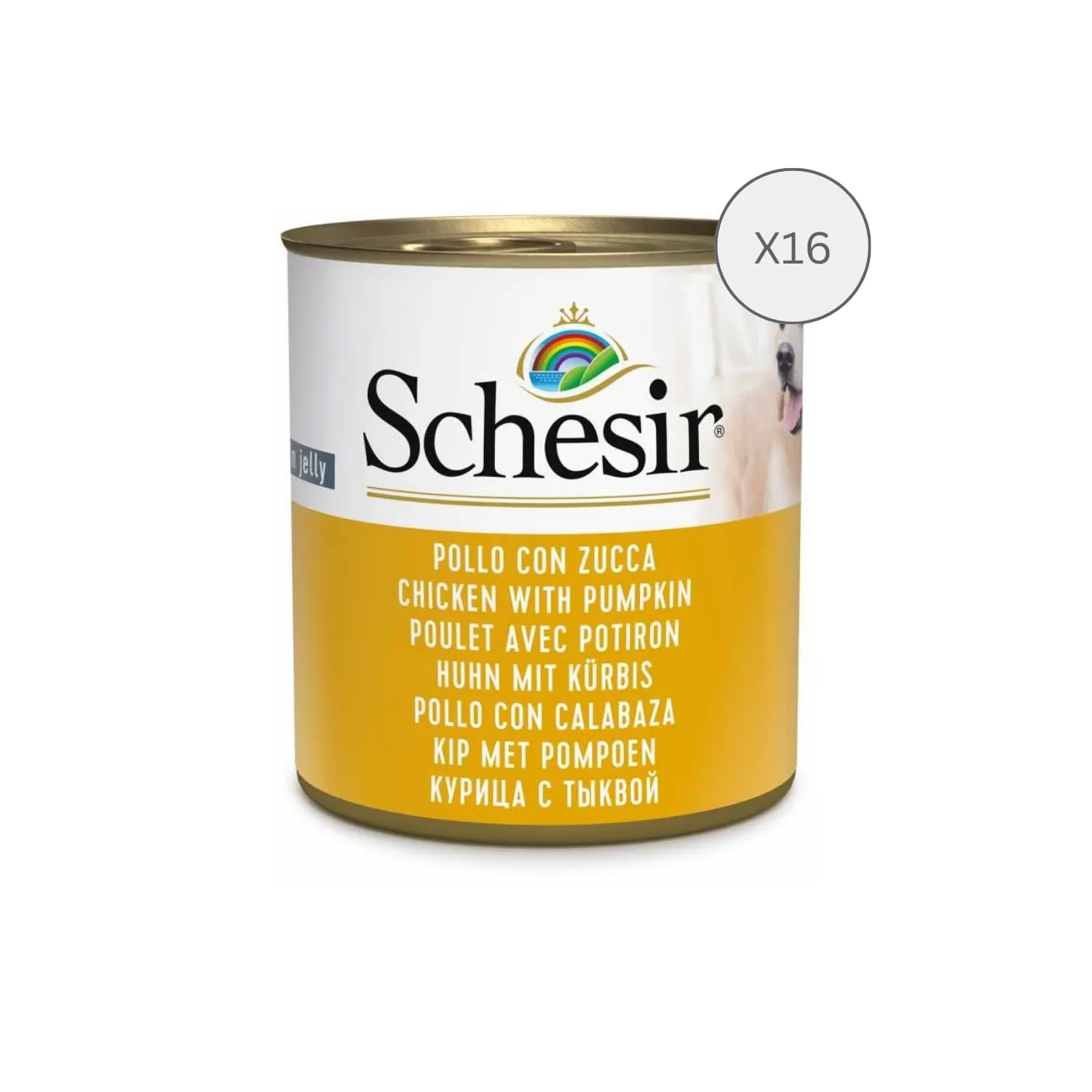 Schesir, Cibo Umido per Cani Adulti al Gusto Pollo con Zucca, Filetti in Morbida Gelatina - Totale 4,56 Kg (16 Lattine da 285G) - immagine 2