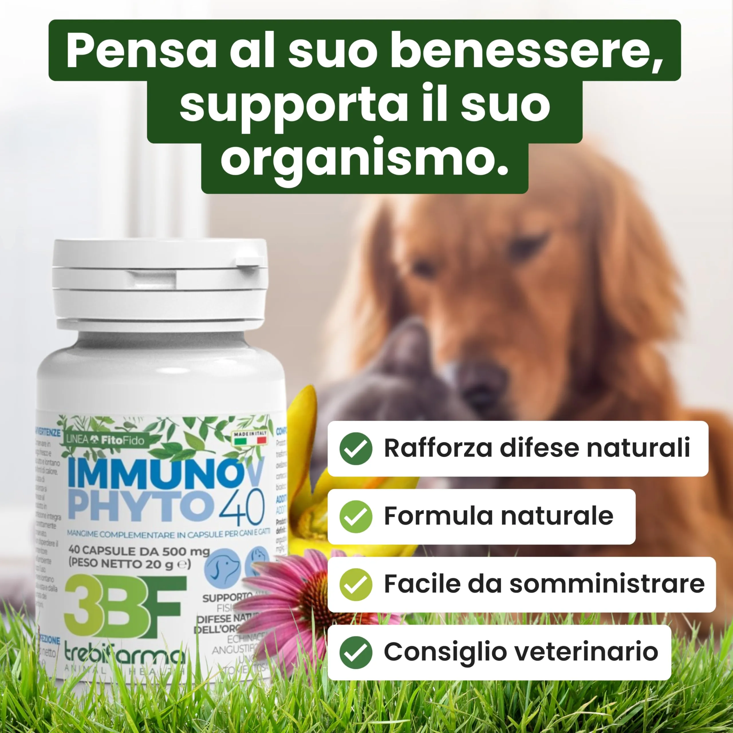Trebifarma Immunov Phyto 40 cpr per il Sistema Immunitario di Cani e Gatti - immagine 2