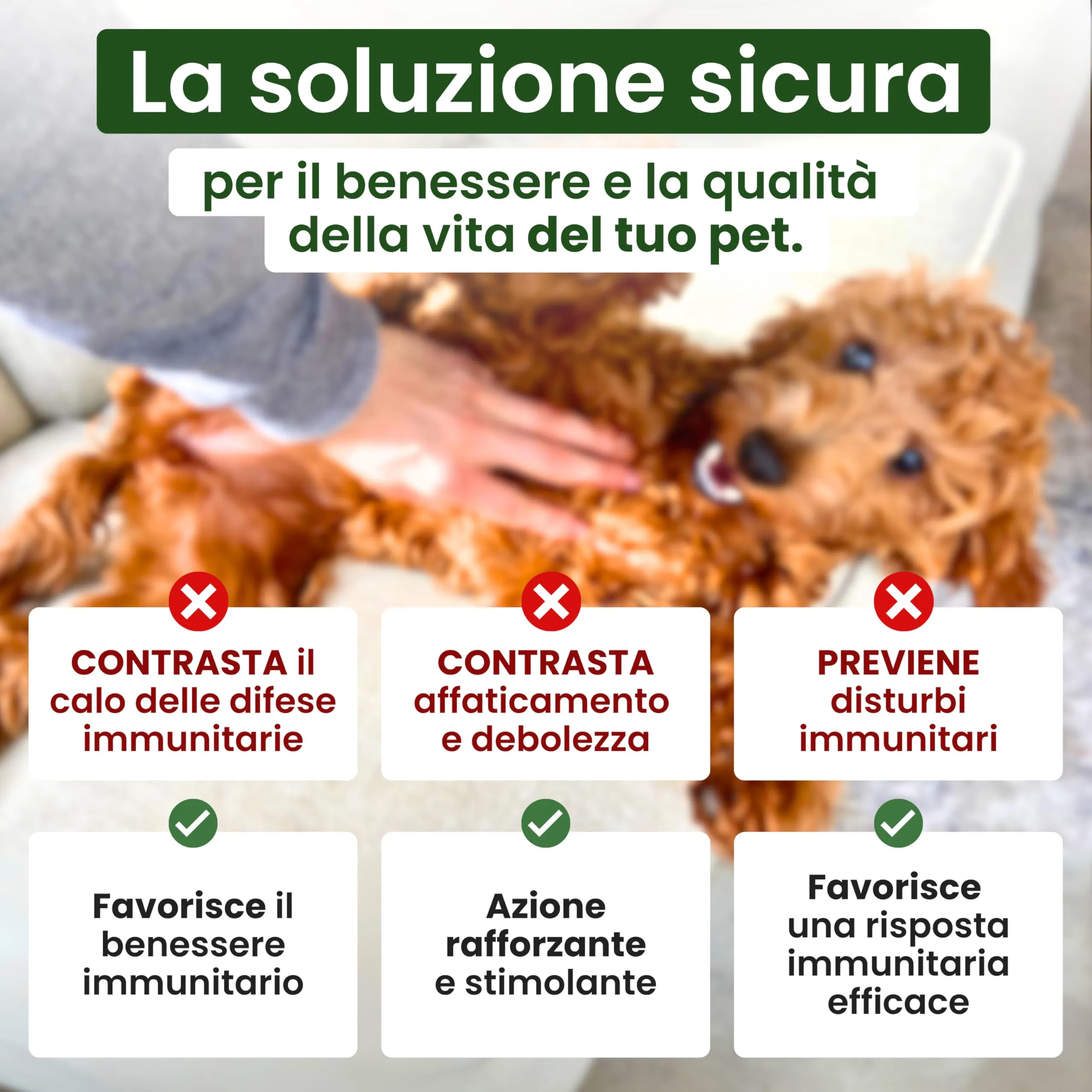 Trebifarma Immunov Phyto 40 cpr per il Sistema Immunitario di Cani e Gatti - immagine 3
