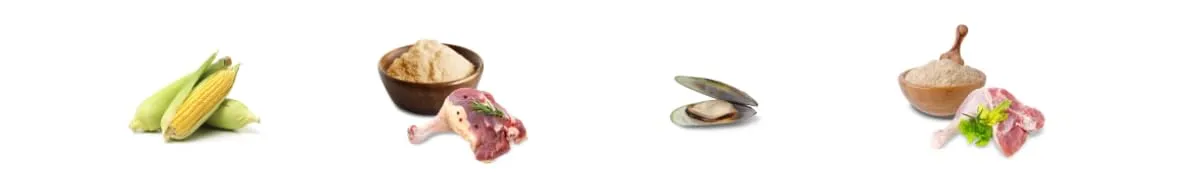 JosiDog Mini (1 x 900 g) | Cibo per cani di piccola taglia | cibo secco di alta qualità per cani adulti | powered by JOSERA | Confezione da 1 - immagine 3