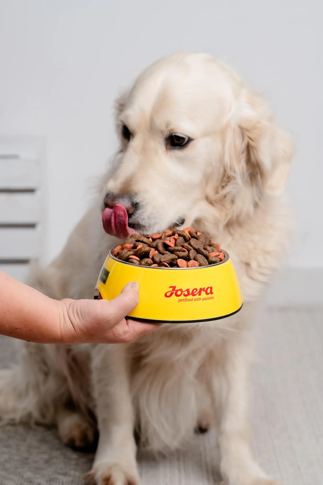 JosiDog Mini (1 x 900 g) | Cibo per cani di piccola taglia | cibo secco di alta qualità per cani adulti | powered by JOSERA | Confezione da 1 - immagine 4