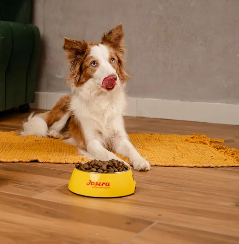 JosiDog Mini (1 x 900 g) | Cibo per cani di piccola taglia | cibo secco di alta qualità per cani adulti | powered by JOSERA | Confezione da 1 - immagine 5
