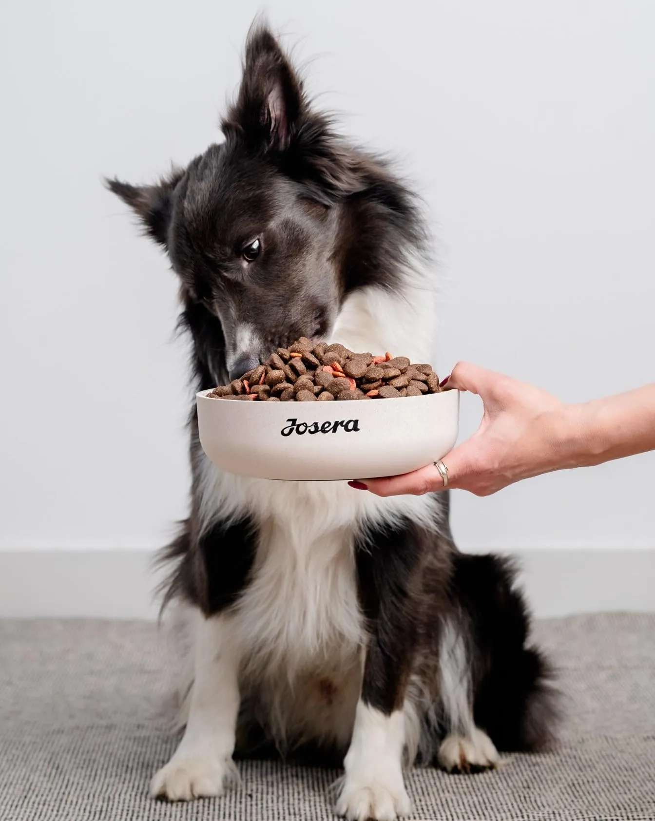 JosiDog Mini (1 x 900 g) | Cibo per cani di piccola taglia | cibo secco di alta qualità per cani adulti | powered by JOSERA | Confezione da 1 - immagine 7