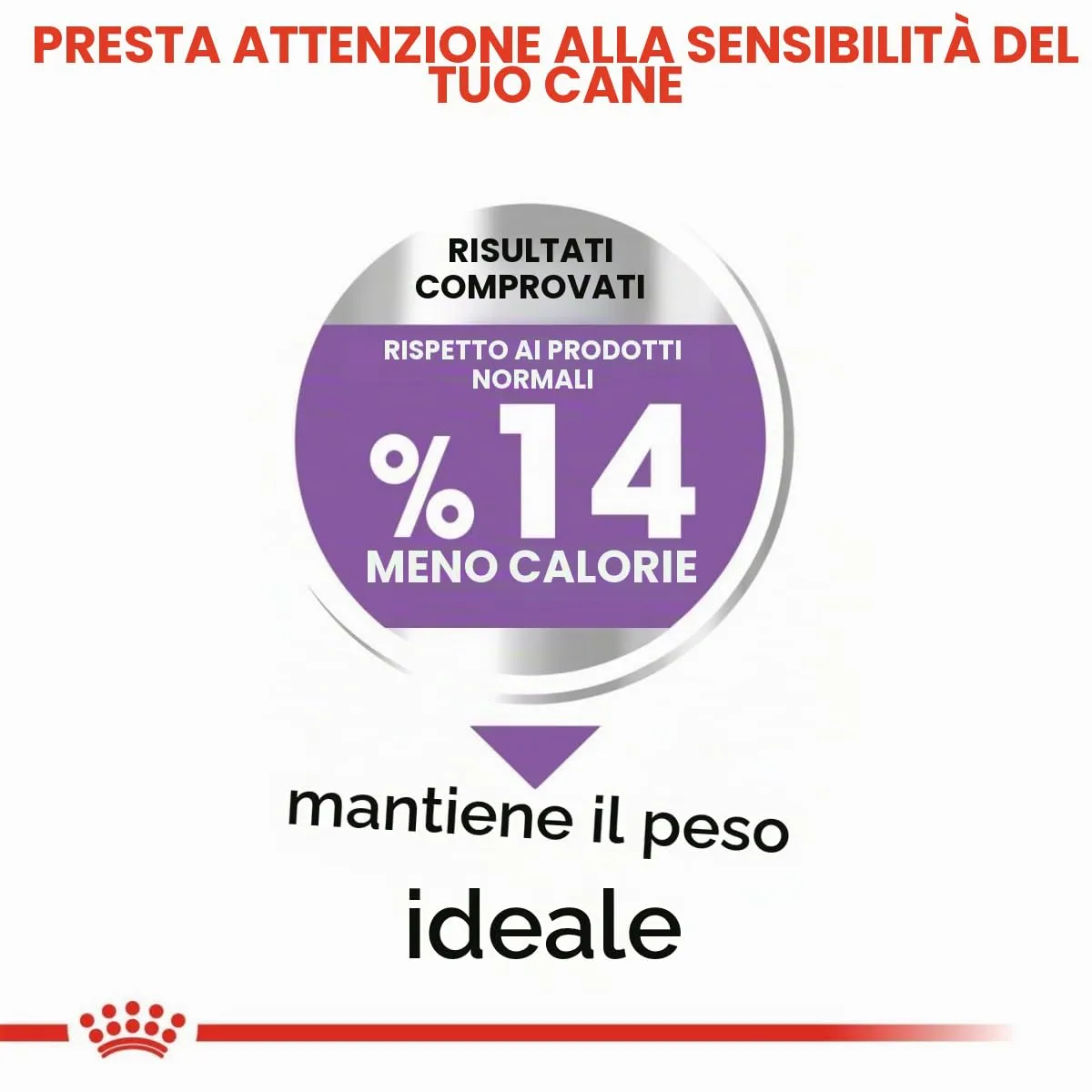 ROYAL CANIN Mini Sterilised - Alimento secco completo per cani adulti - 3kg - immagine 5