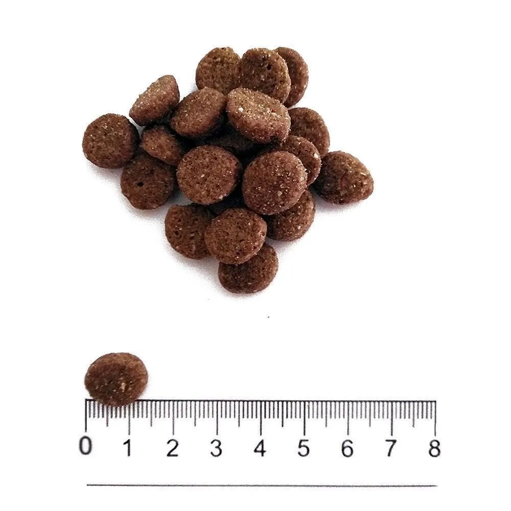 prolife - Sensitive Puppy Medium/Large all'Agnello e Riso da 10 kg - immagine 2