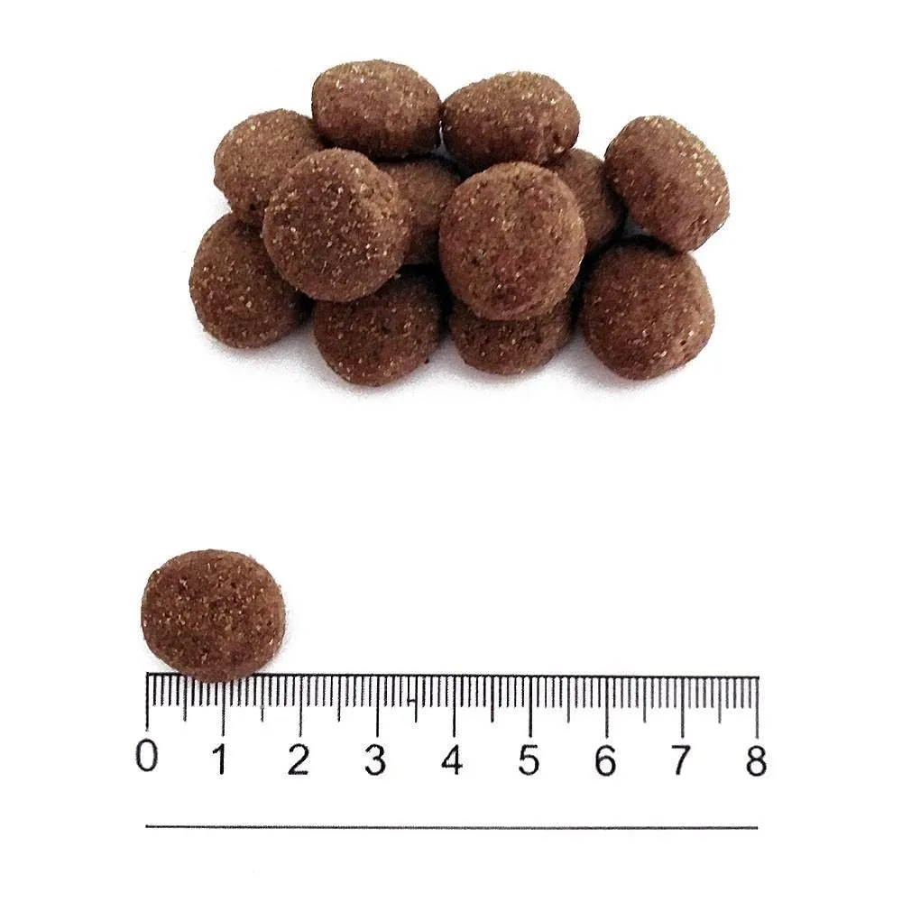 PROLIFE Sensitive Adult Medium/Large al Maiale e Riso da 10 kg - immagine 2