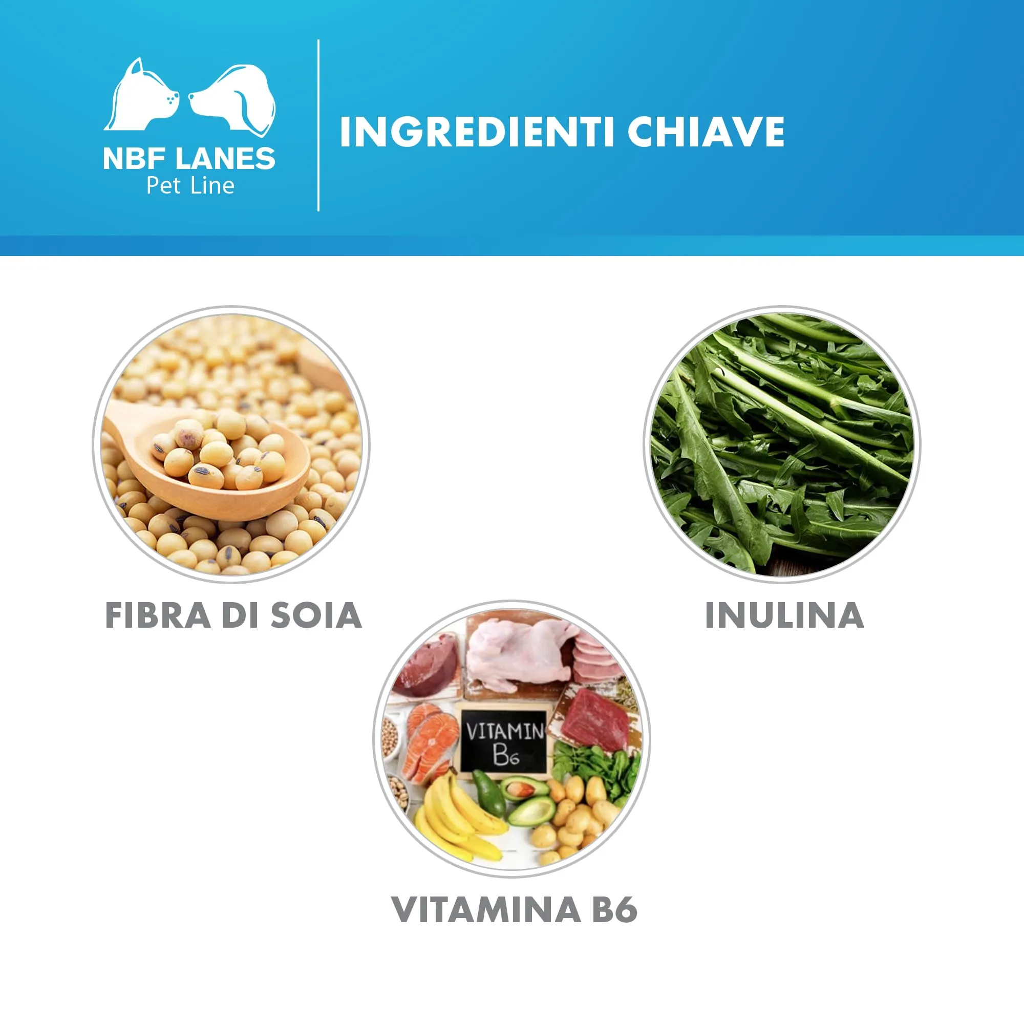 NBF Lanes | Fibra Pet Cane e Gatto, 50 Compresse Appetibili, per la Normale Funzionalità Intestinale - immagine 5