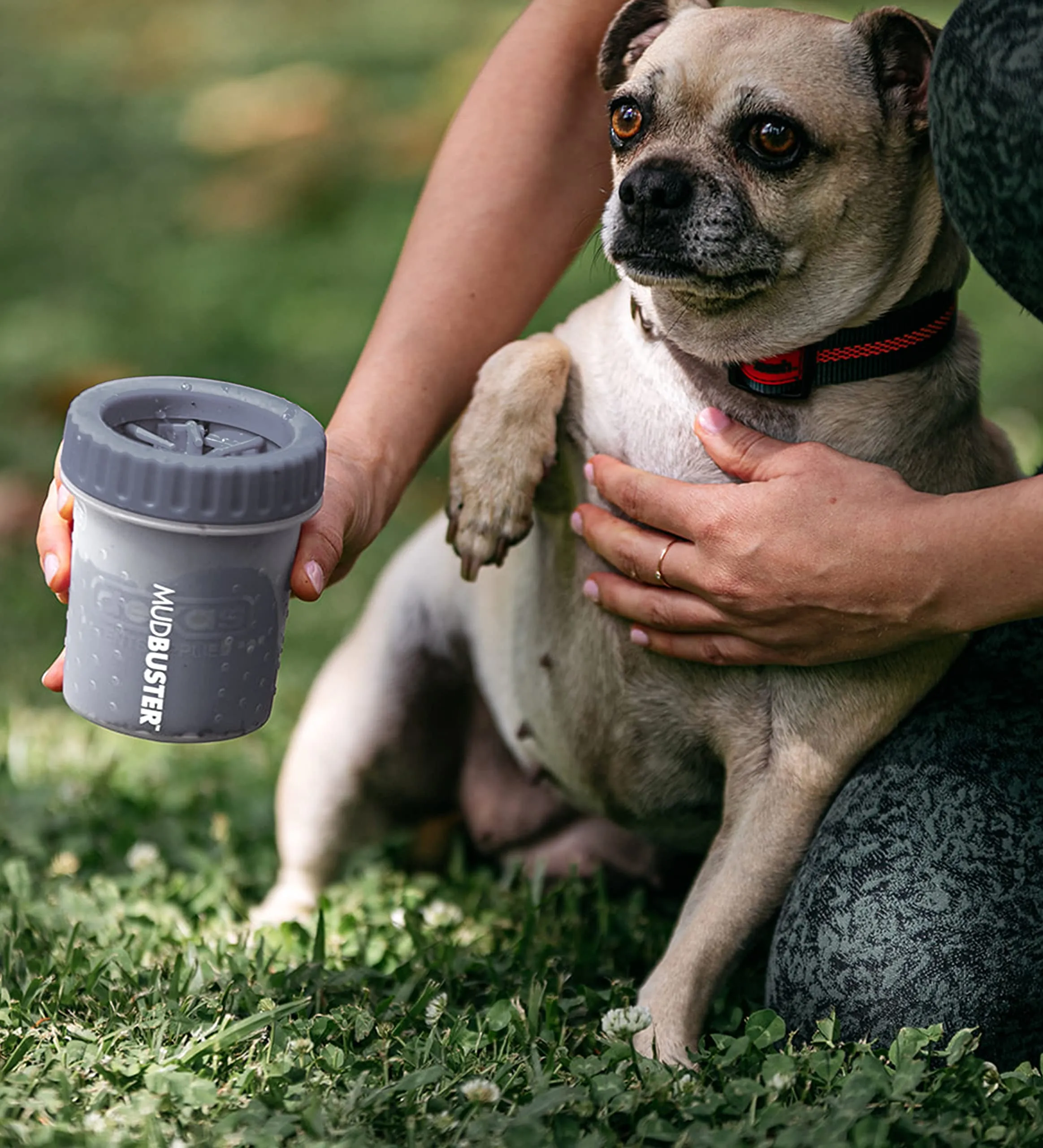 Dexas MudBuster Pulitore per zampe di cani portatile, misura S, grigio chiaro - immagine 6