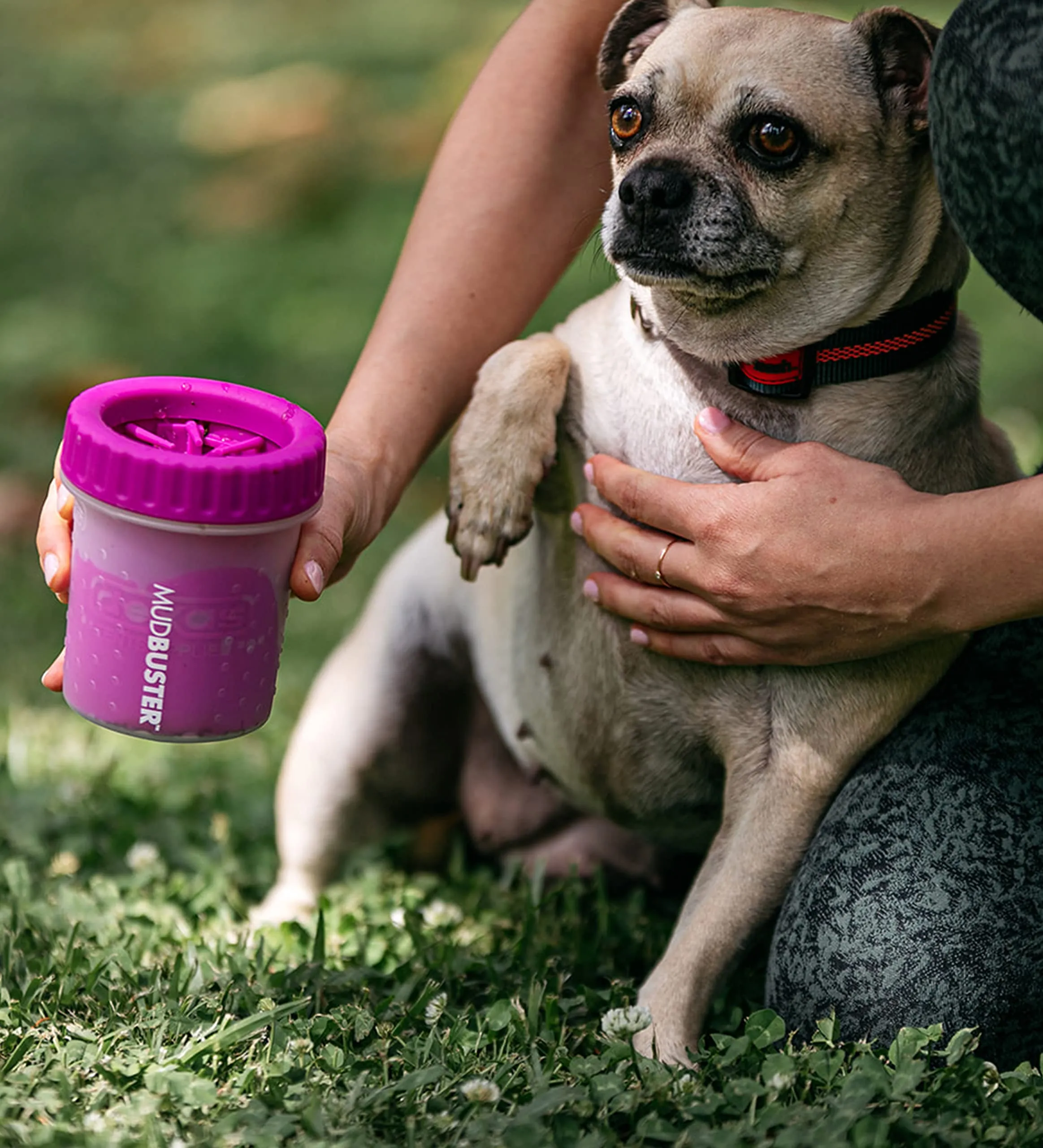 Dexas MudBuster - Pulitore portatile per zampe di cane, piccolo, fucsia, accessorio per animali domestici di alta qualità - immagine 5