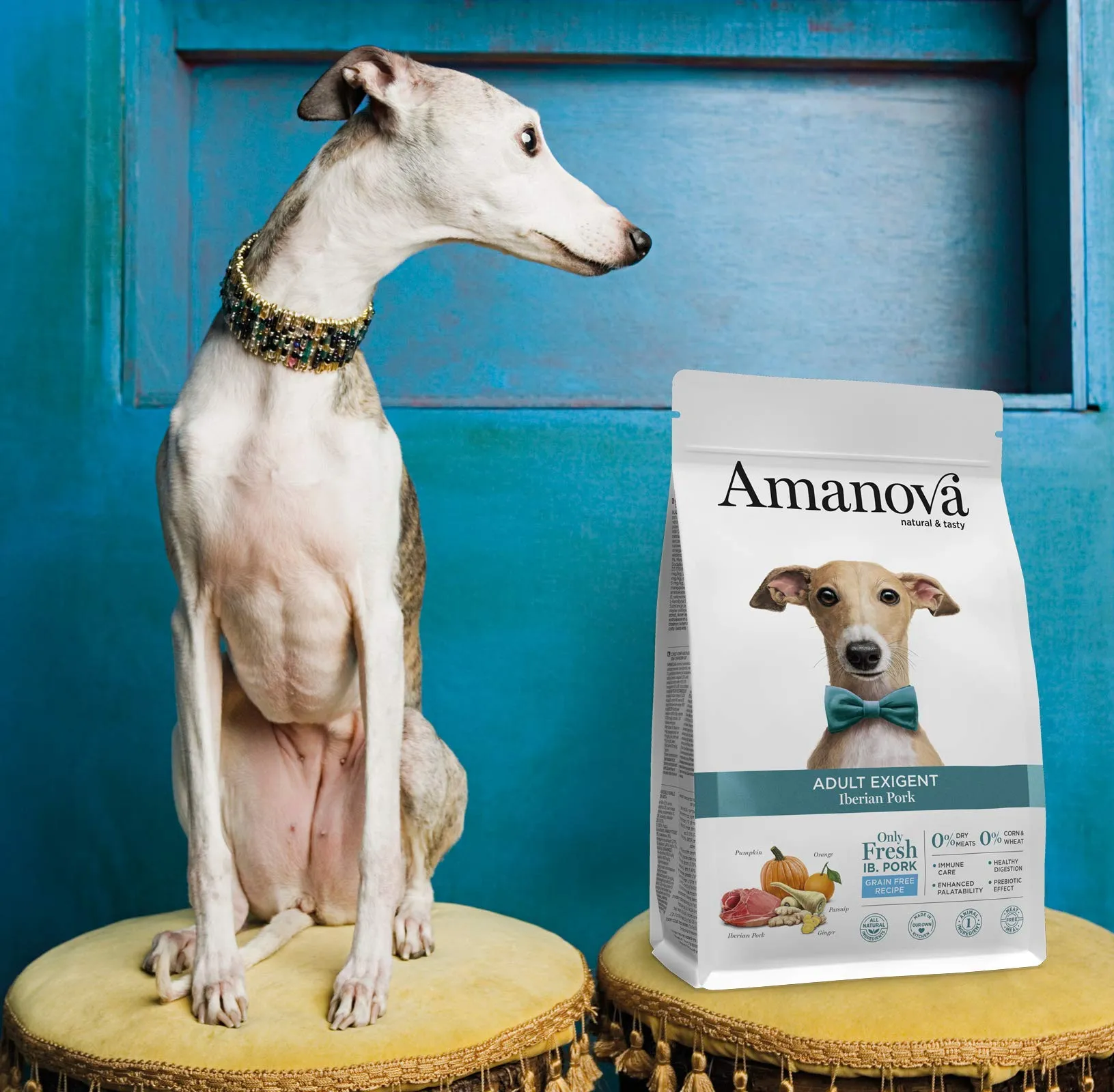 Amanova Cibo Secco per Cani Adulti di Taglia Media o Grande per palati esigenti Gusto Maiale - 100% Naturale, ipoallergenico e monoproteico - Grain Free - Cruelty Free - Formato da 2 kg - immagine 7