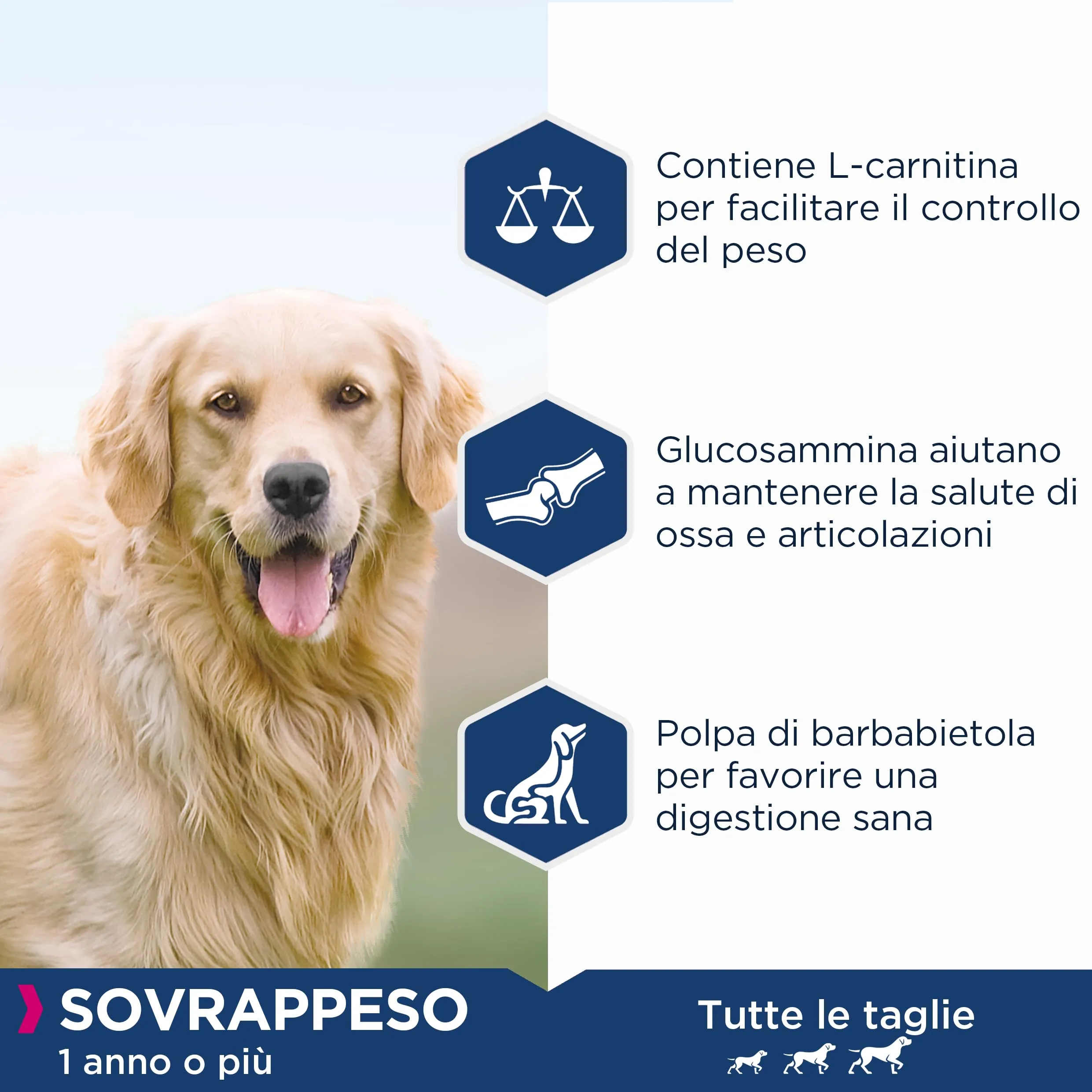 Eukanuba Daily Care Overweight/Sterilised crocchette – Cibo secco speciale a basso contenuto di grassi per cani in sovrappeso o sterilizzati, 12 kg - immagine 4