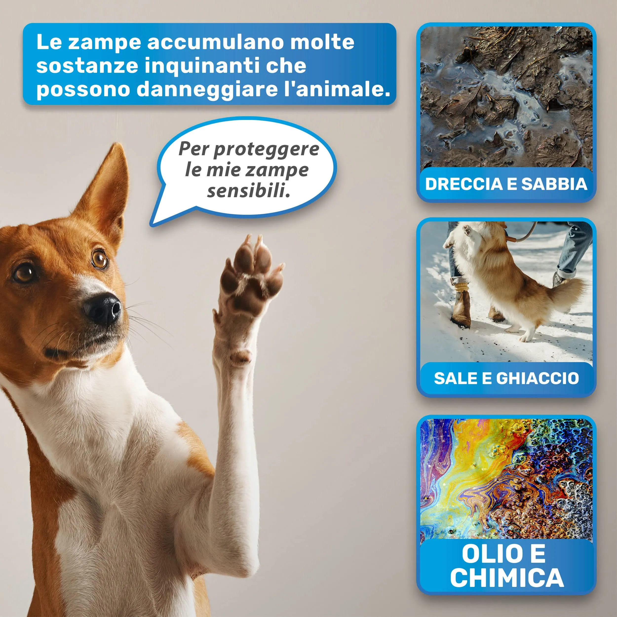 BluePet Pulisci Zampe Cane, Lava Zampe per Cani, Pulitore Zampe, Lavazampe - immagine 4