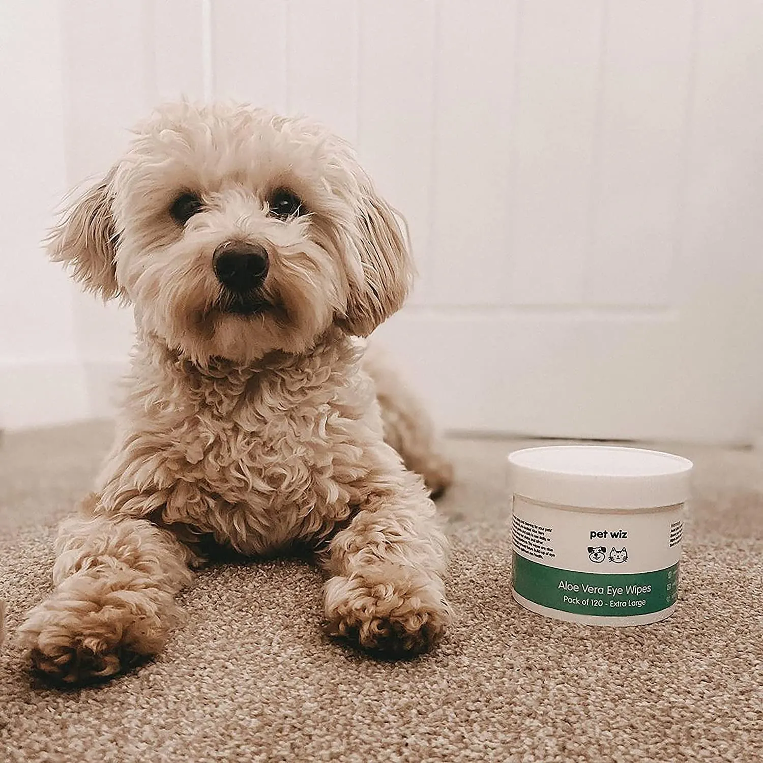 pet wiz Approvato dal veterinario, 240 salviette naturali extra large per gli occhi, delicate e lenitive - immagine 5