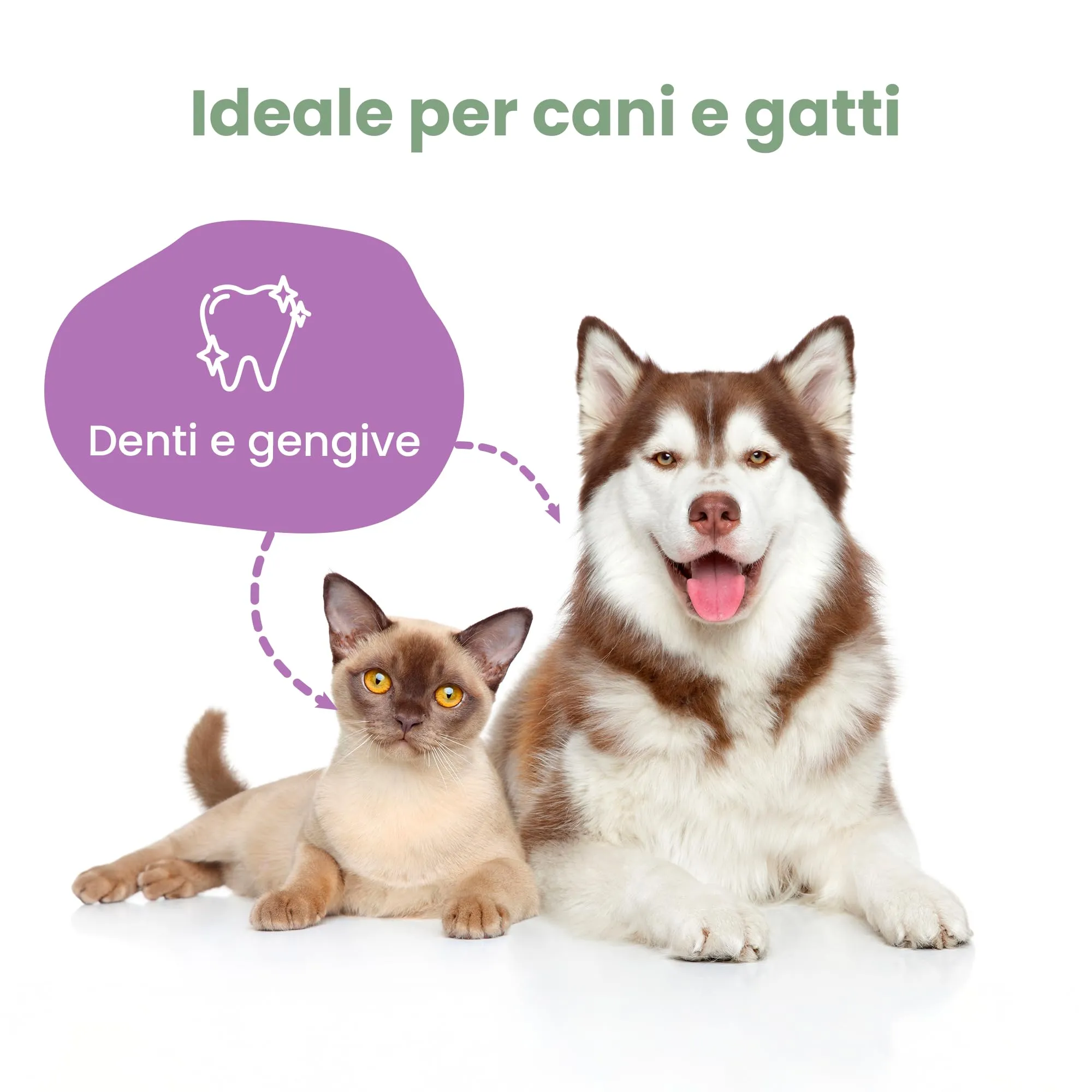 CAMON - Salviettine da Dito per Pulizia Denti Cani e Gatti, Box da 50pz - immagine 2