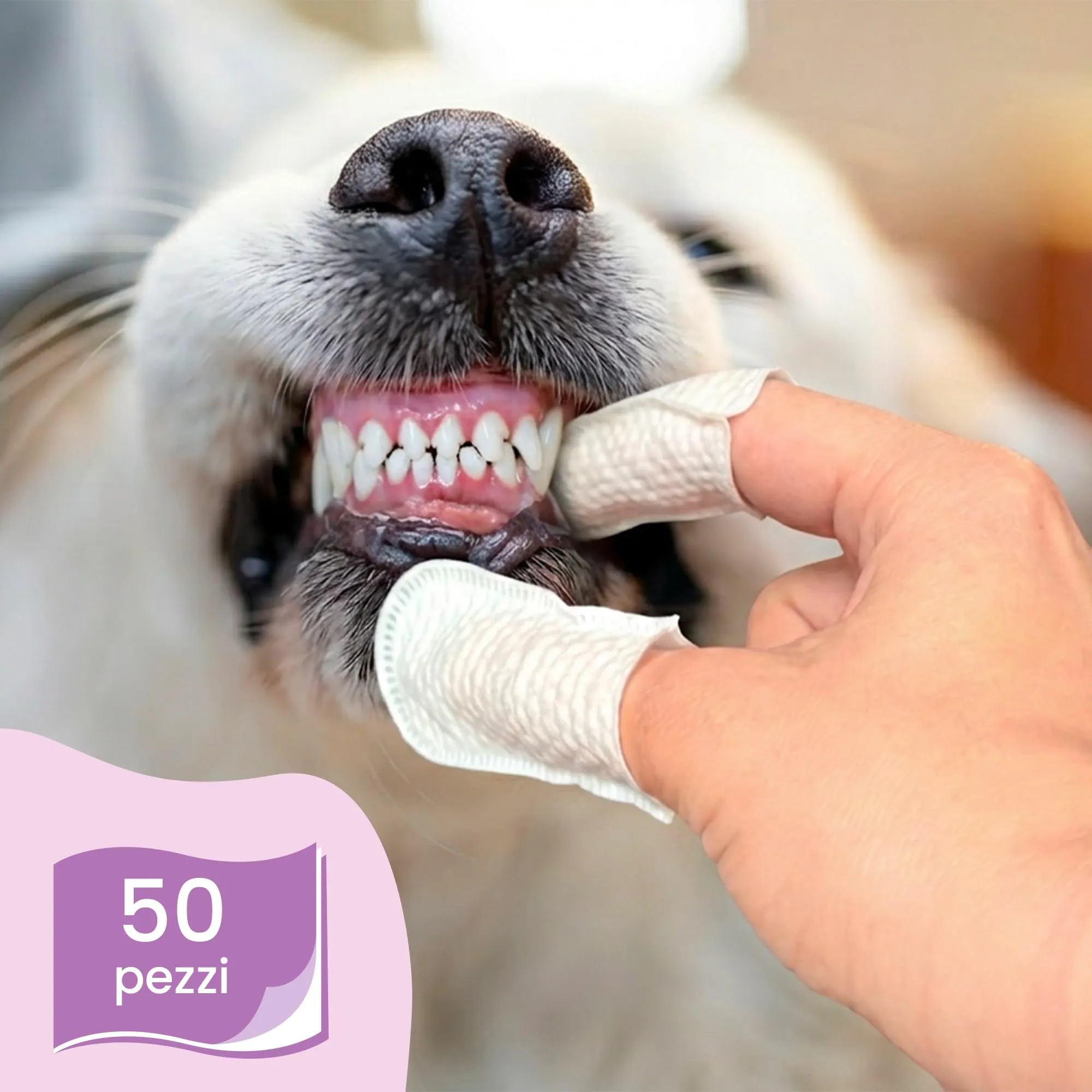 CAMON - Salviettine da Dito per Pulizia Denti Cani e Gatti, Box da 50pz - immagine 4