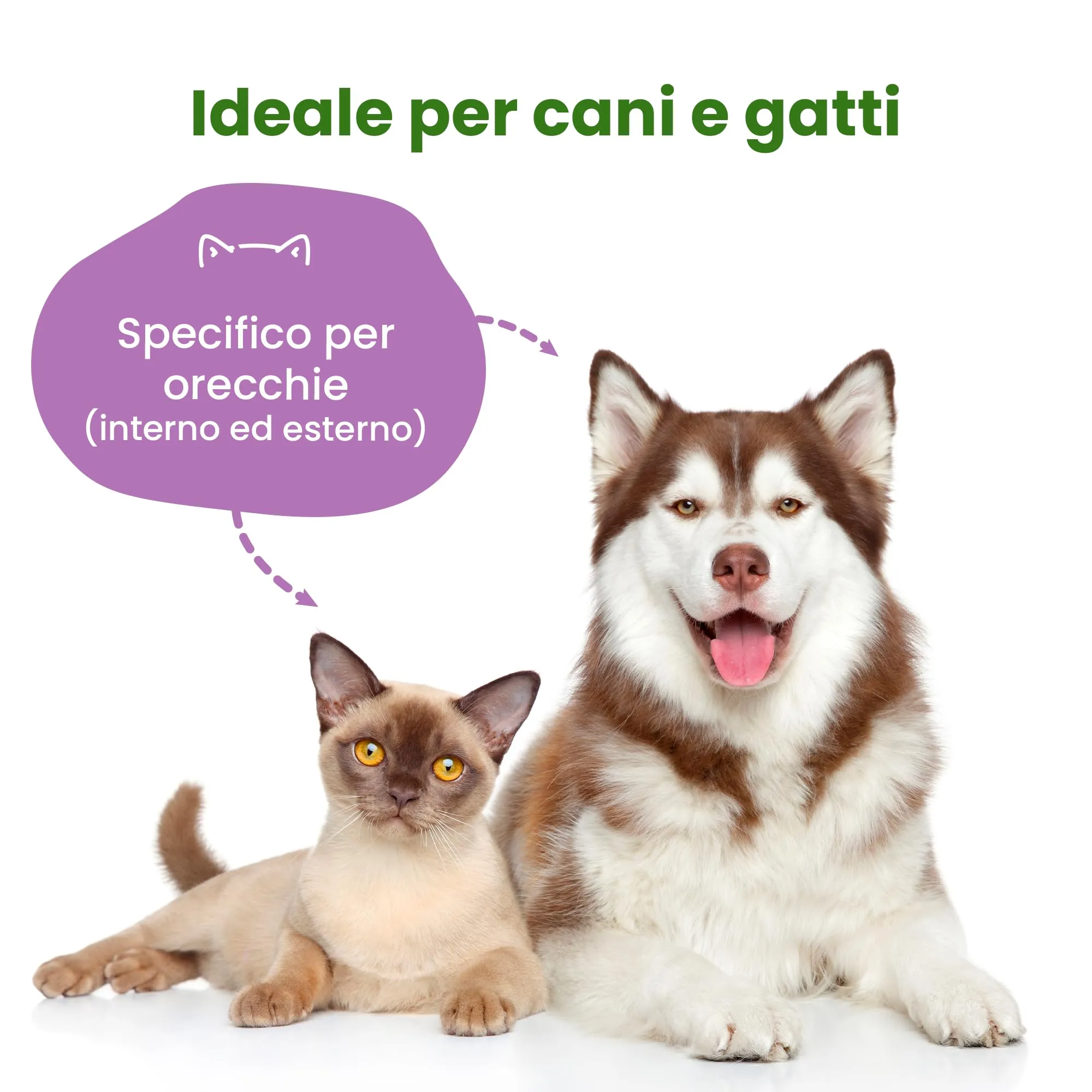 CAMON - Salviettine da Dito per Pulizia Orecchie Cani e Gatti, Box da 50pz - immagine 2