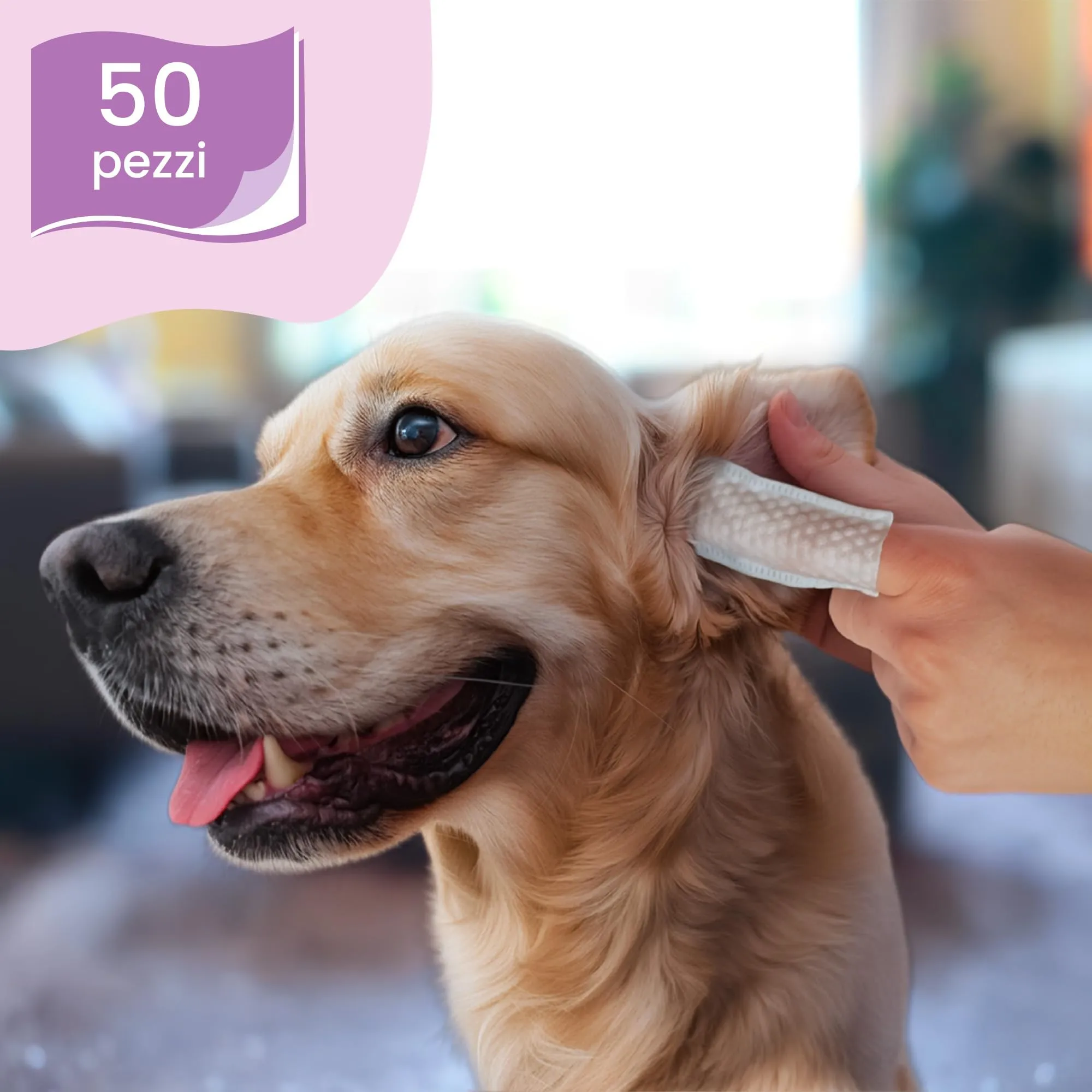 CAMON - Salviettine da Dito per Pulizia Orecchie Cani e Gatti, Box da 50pz - immagine 4