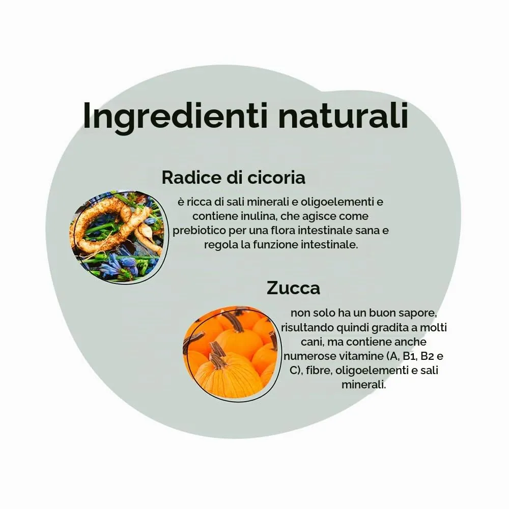 GRAU – l'originale – mix di verdure essiccate con frutta per BARF per cani - "Mix No. 1", confezione da 1 (1 x 1,2 kg), alimento complementare per cani - immagine 3