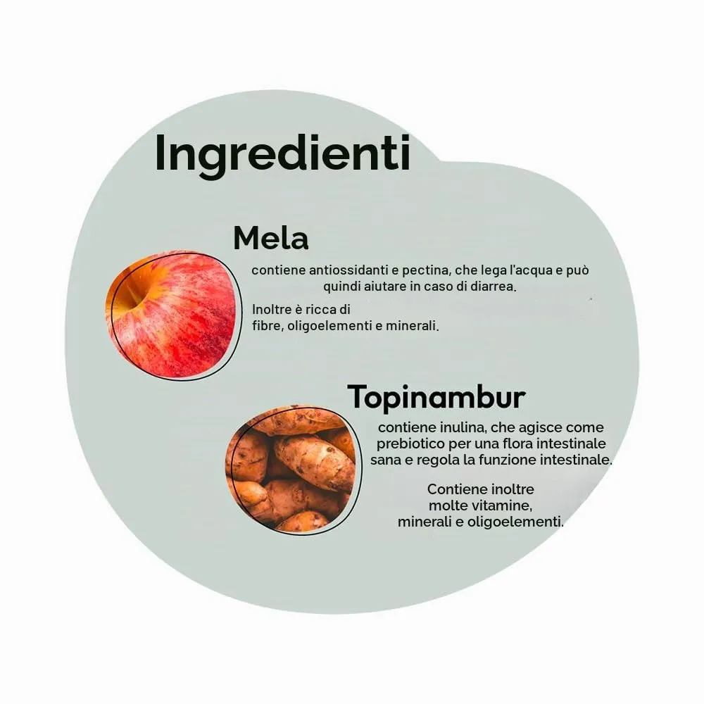 GRAU – l'originale – mix di verdure essiccate con frutta per BARF per cani - "Mix No. 1", confezione da 1 (1 x 1,2 kg), alimento complementare per cani - immagine 4