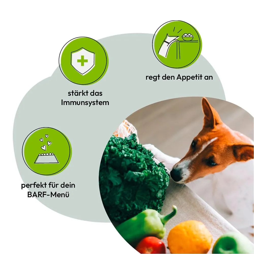 GRAU – l'originale – mix di verdure essiccate con frutta per BARF per cani - "Mix No. 1", confezione da 1 (1 x 1,2 kg), alimento complementare per cani - immagine 5