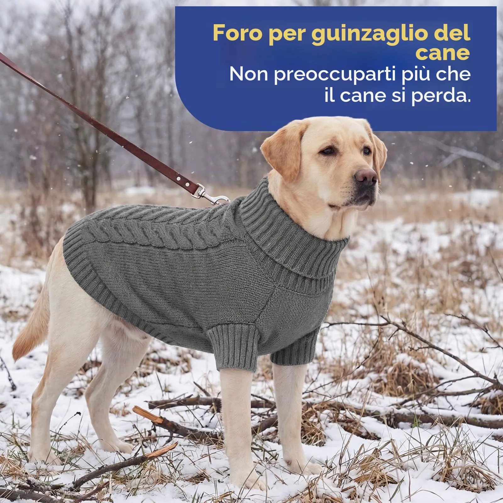 ASENKU Maglioncino Invernale per Cane Taglia S Piccola, Maglione Treccia Collo Alto con Foro Guinzaglio per Carlino Pomerania,Vestito Cane per Passeggiate sulla Neve - immagine 6