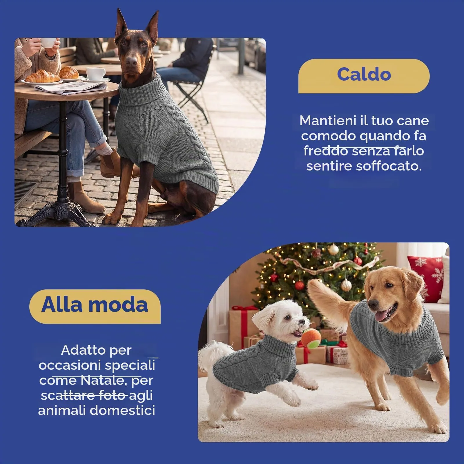 ASENKU Maglioncino Invernale per Cane Taglia S Piccola, Maglione Treccia Collo Alto con Foro Guinzaglio per Carlino Pomerania,Vestito Cane per Passeggiate sulla Neve - immagine 8