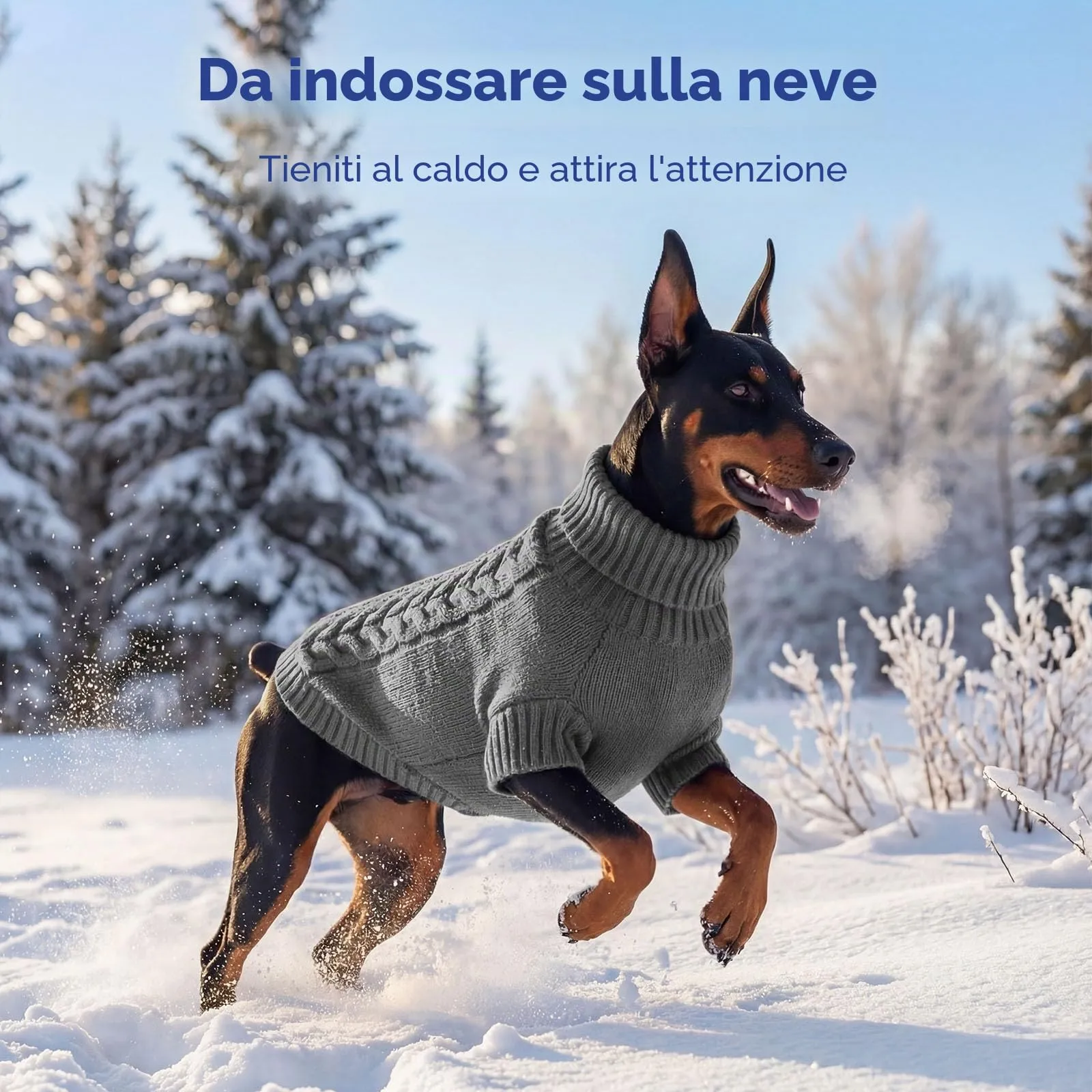 ASENKU Maglioncino Invernale per Cane Taglia S Piccola, Maglione Treccia Collo Alto con Foro Guinzaglio per Carlino Pomerania,Vestito Cane per Passeggiate sulla Neve - immagine 9