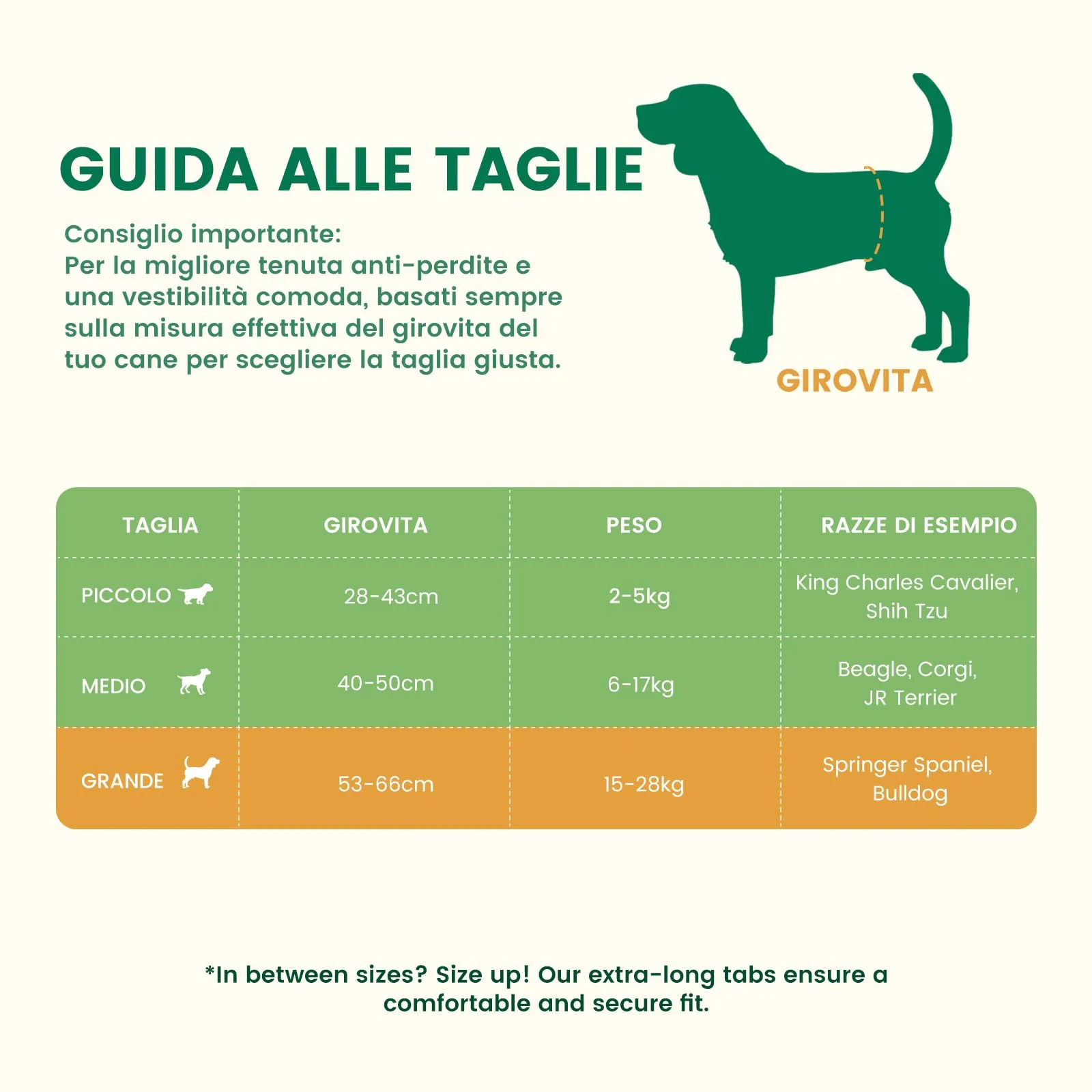 Gardner Pet Pannolini per Cani Maschi, Taglia L, 30 Pezzi - immagine 2