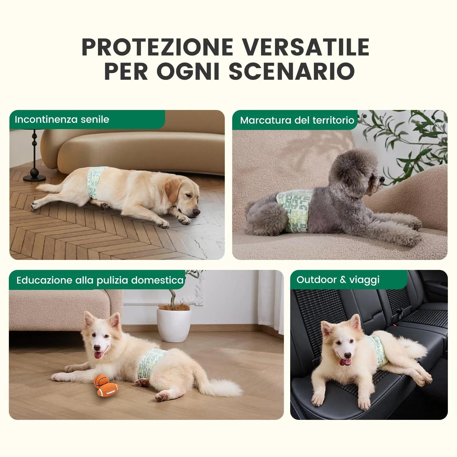 Gardner Pet Pannolini per Cani Maschi, Taglia M, 50 Pezzi - immagine 8