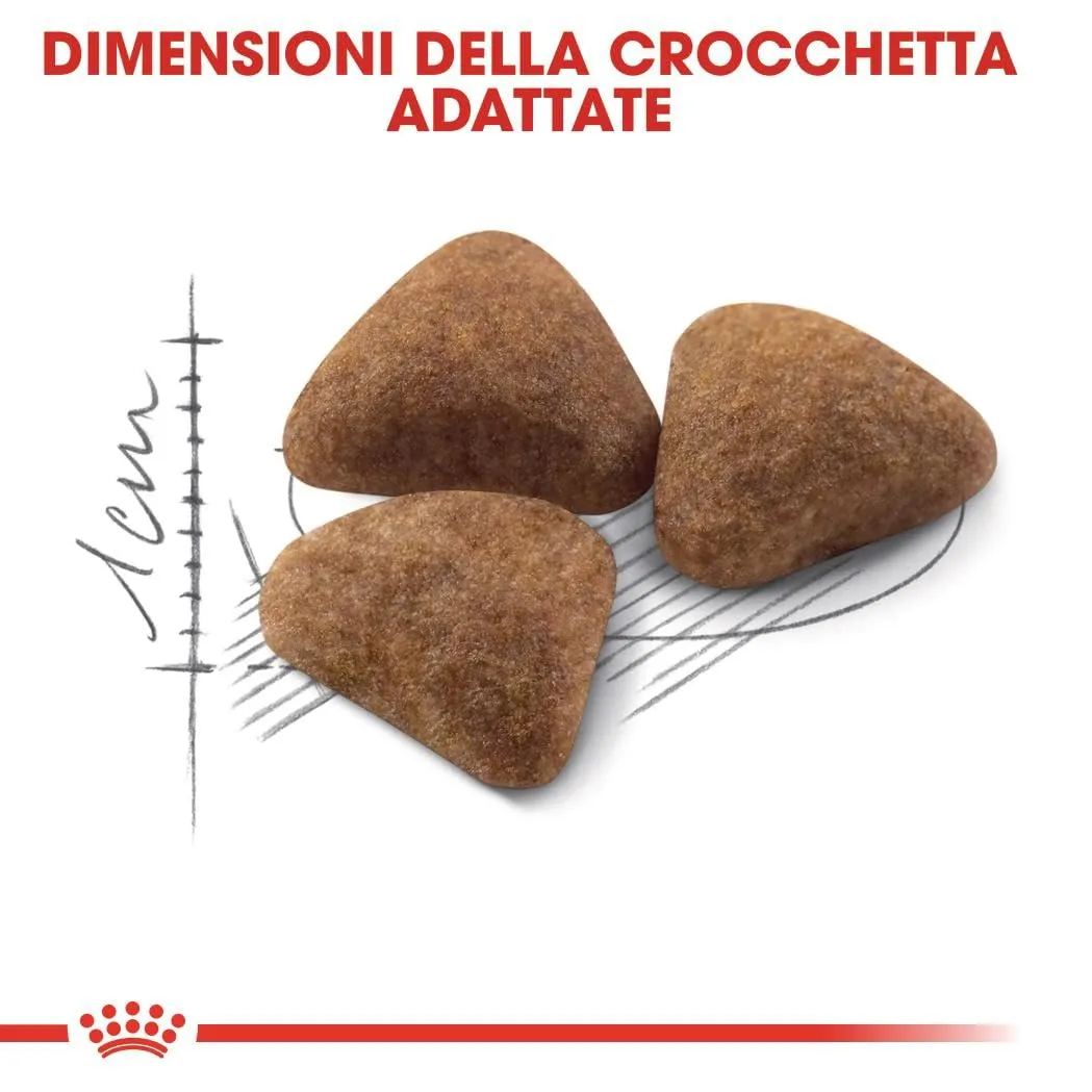ROYAL CANIN Indoor 27 - Alimento secco completo per gatti adulti - 2kg - immagine 6