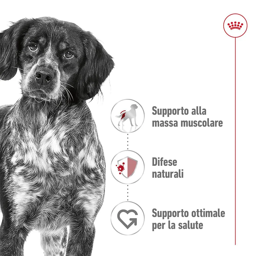 ROYAL CANIN Medium Adult - Alimento secco completo per cani adulti - 4g - immagine 2