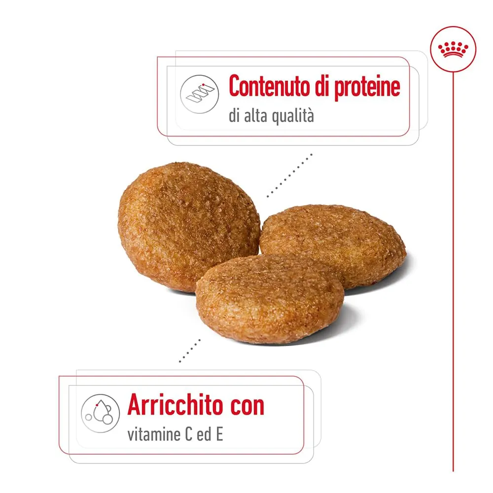 ROYAL CANIN Medium Adult - Alimento secco completo per cani adulti - 4g - immagine 3
