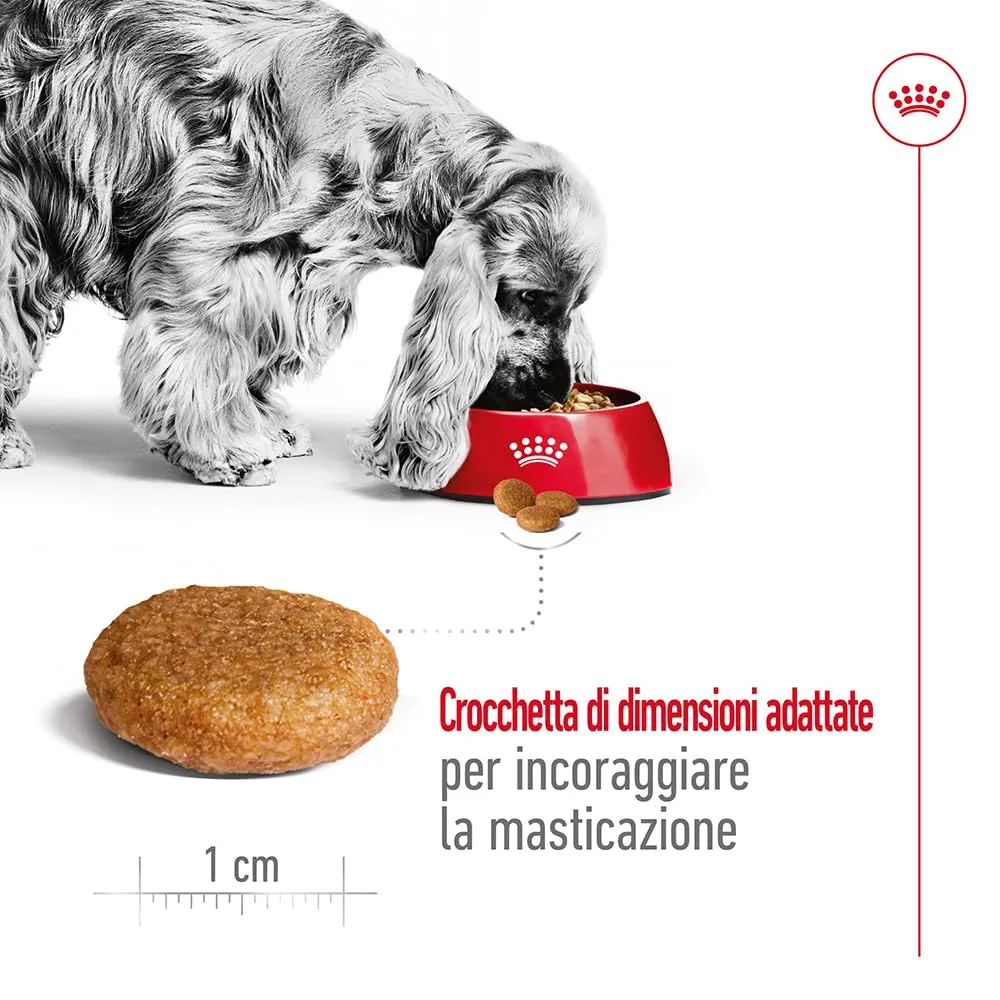 ROYAL CANIN Medium Adult - Alimento secco completo per cani adulti - 4g - immagine 4