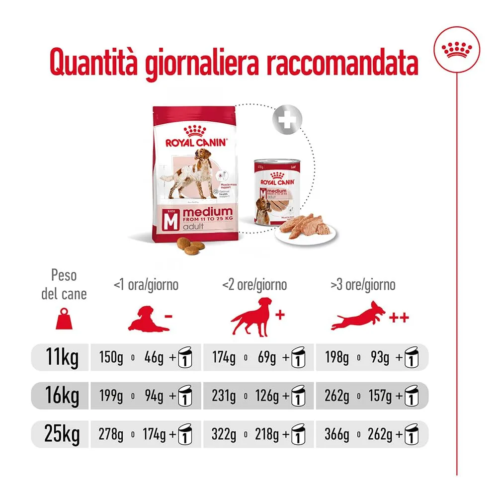 ROYAL CANIN Medium Adult - Alimento secco completo per cani adulti - 4g - immagine 9