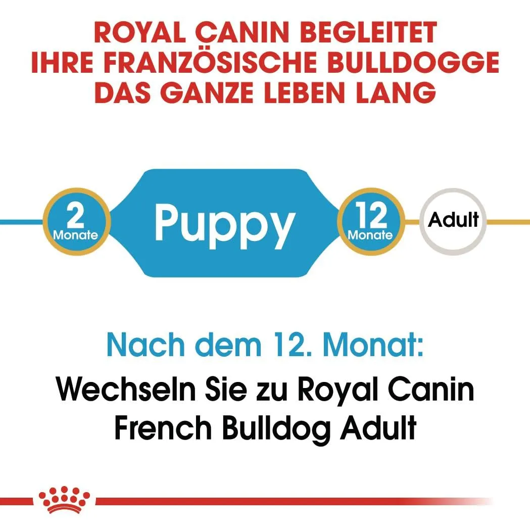 Royal Canin French Bulldog Puppy | 1 kg | Cibo secco per cuccioli di Bulldog Francese | Fino al 12° mese - immagine 3
