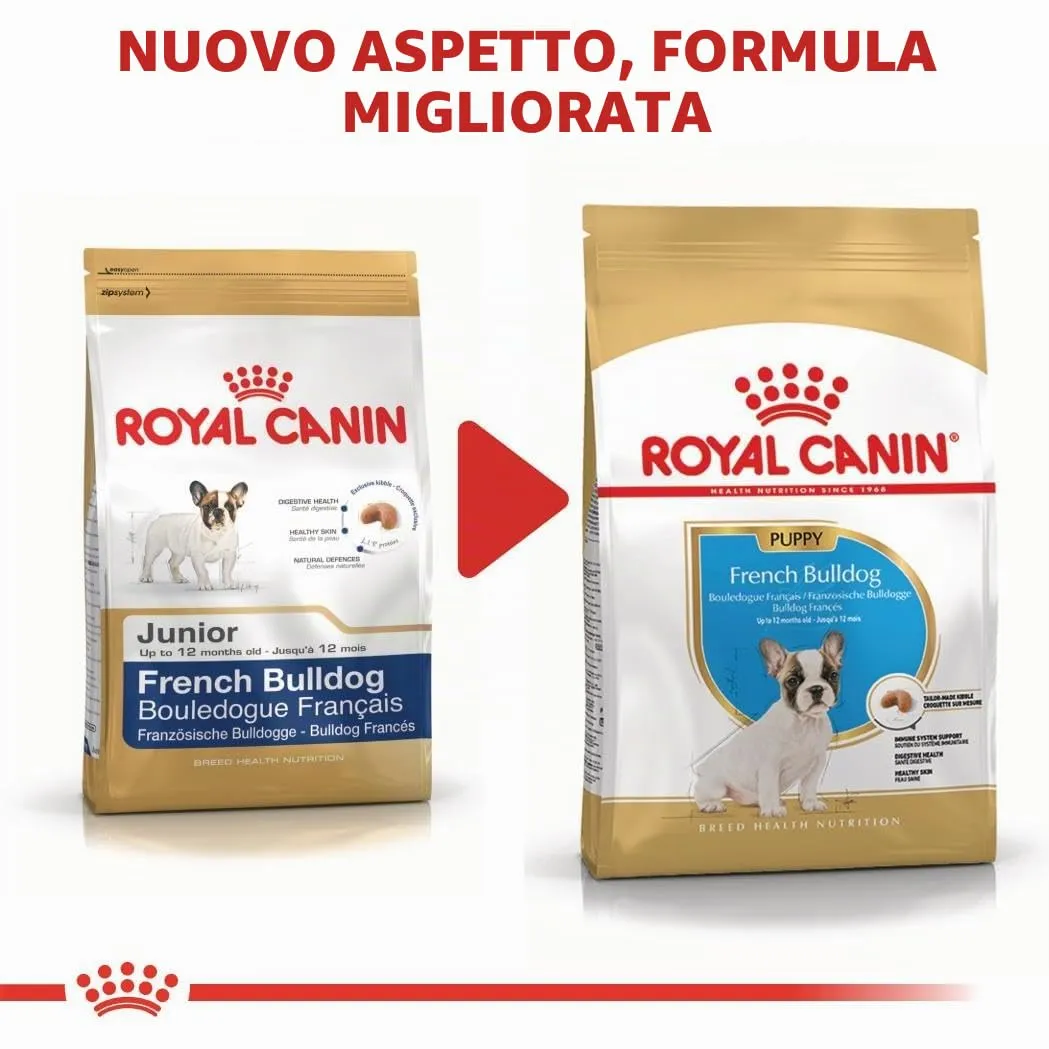 Royal Canin French Bulldog Puppy | 1 kg | Cibo secco per cuccioli di Bulldog Francese | Fino al 12° mese - immagine 8