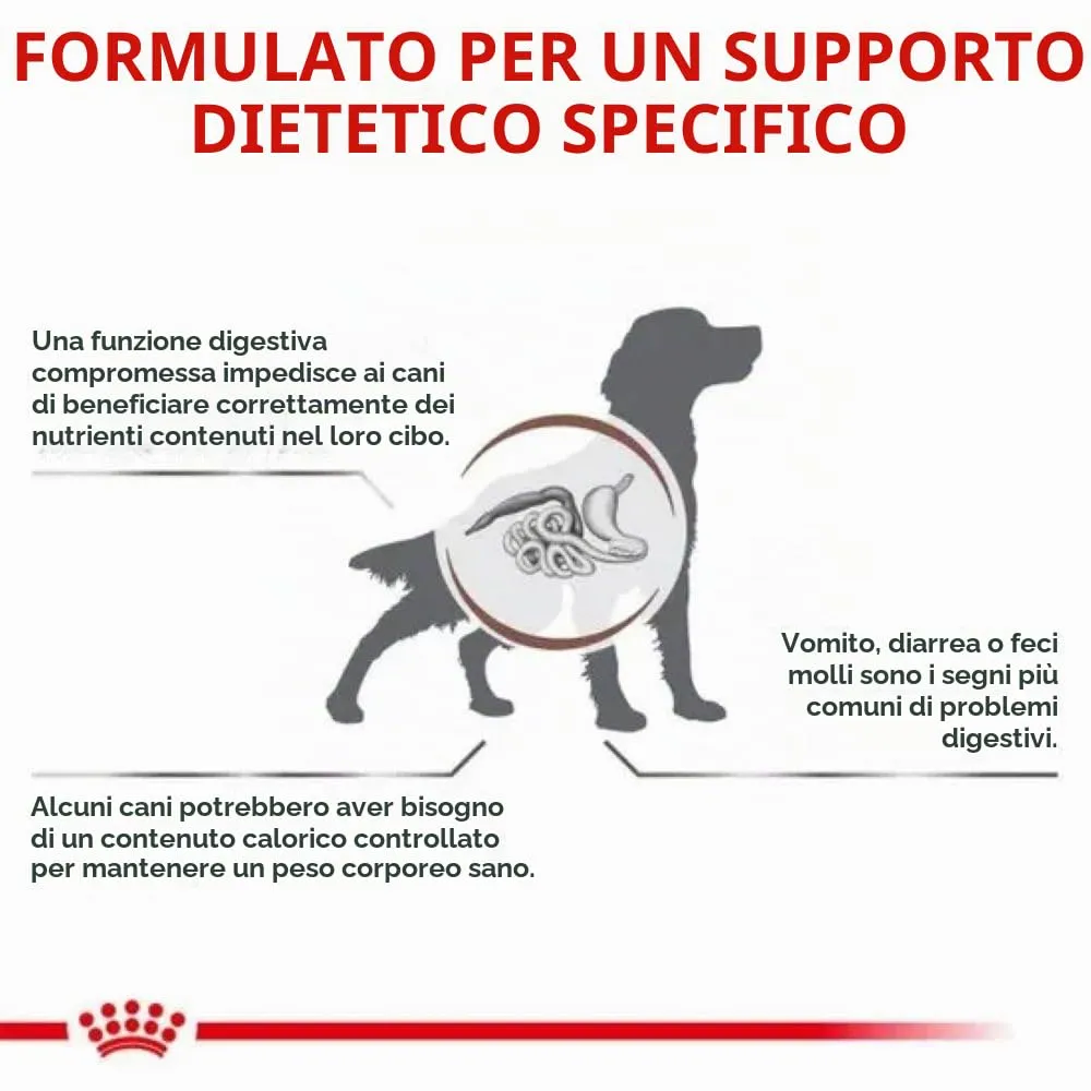 Royal Canin Veterinary Gastrointestinal Moderate Calorie Cane | 2 kg | Alimento dietetico completo | Cani adulti | Supporto digestivo - immagine 5