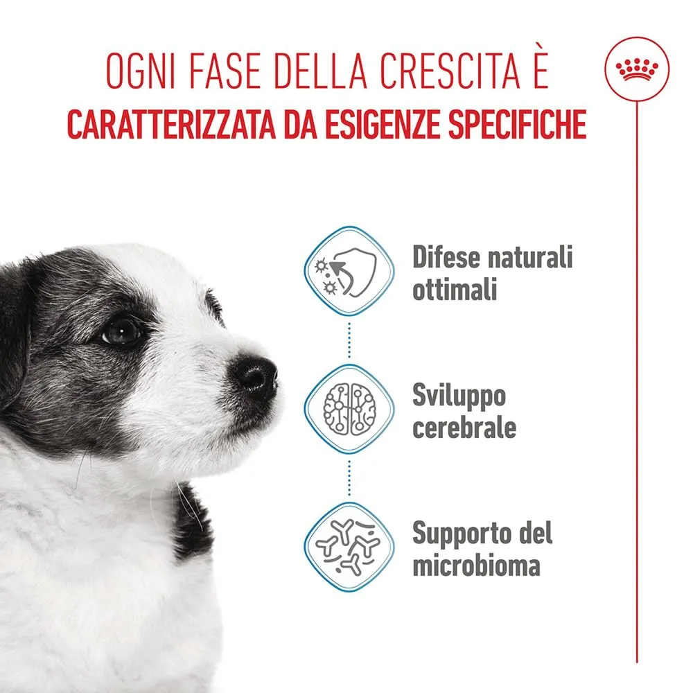 Royal Canin - Royal Canin Mini Junior - 800 g - immagine 3