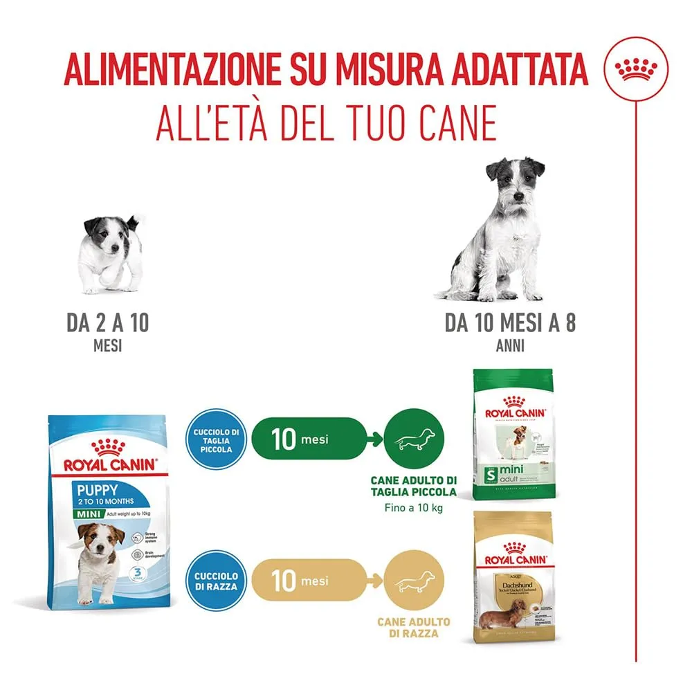 Royal Canin - Royal Canin Mini Junior - 800 g - immagine 8