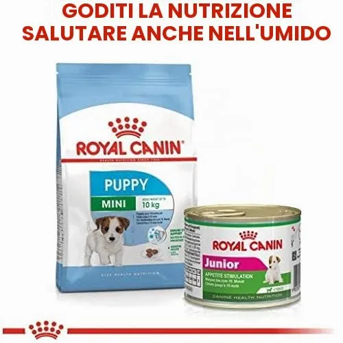 ROYAL PUPPY MINI JUNIOR 8KG - immagine 4