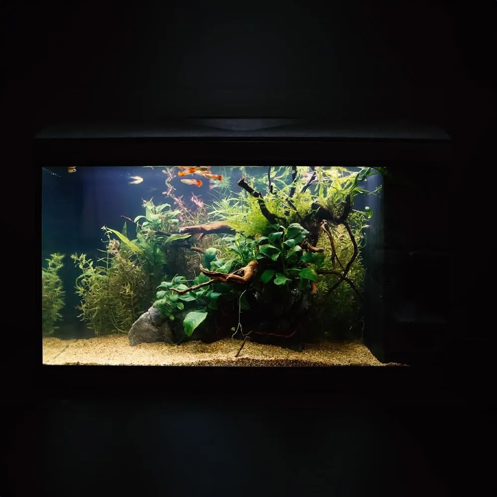 Amtra Basic 80 LED - Acquario completo di 95 litri, illuminazione LED 8500 8W, incluso filtro Filtering Box 150, 80x32x47 cm, nero - immagine 5